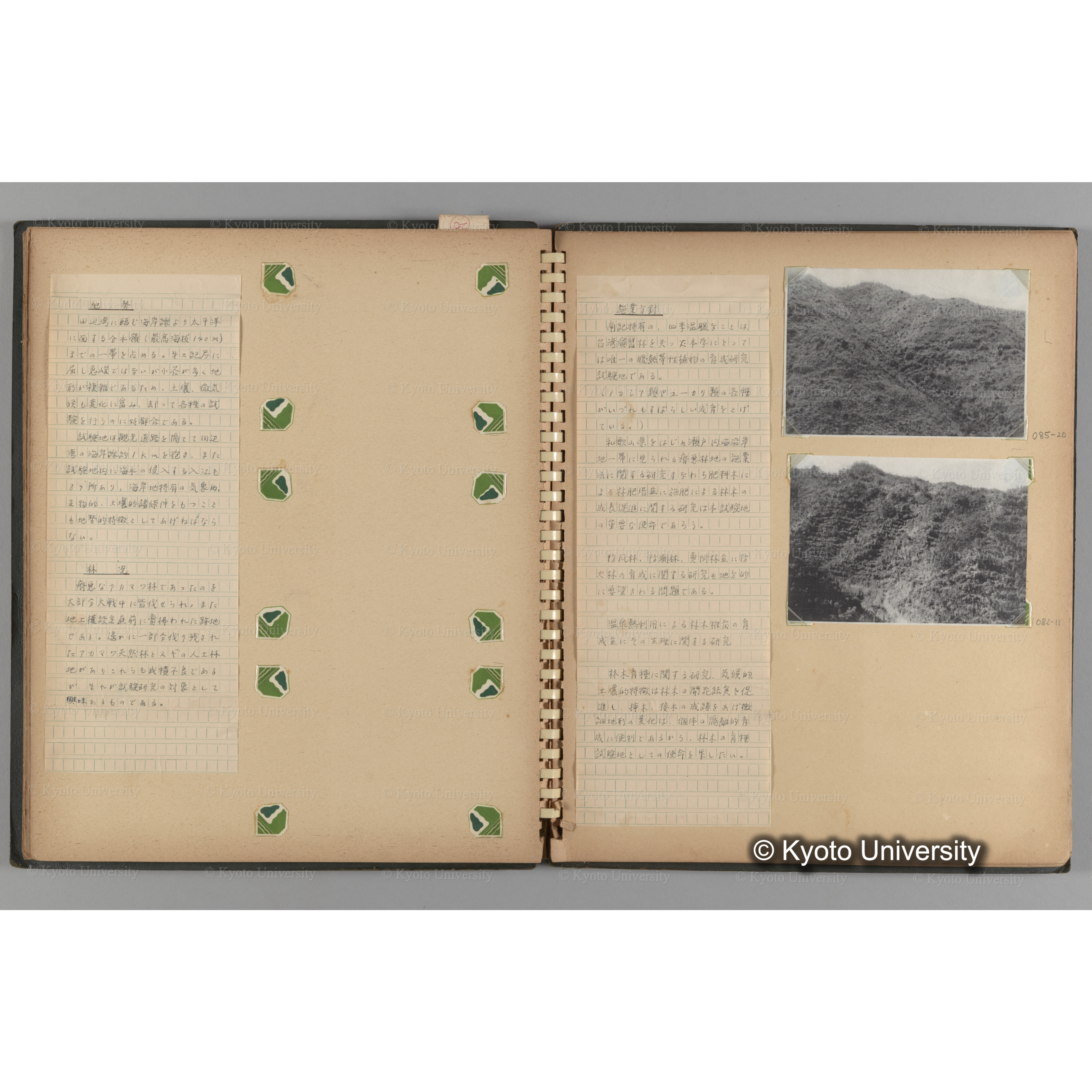 [国内演習林緑アルバム1957(緑色表紙)] PHOTO ALBUM (ラベル)「(破損)[No.4 白浜試験]地 (破損)[徳山]試験地」. (9)