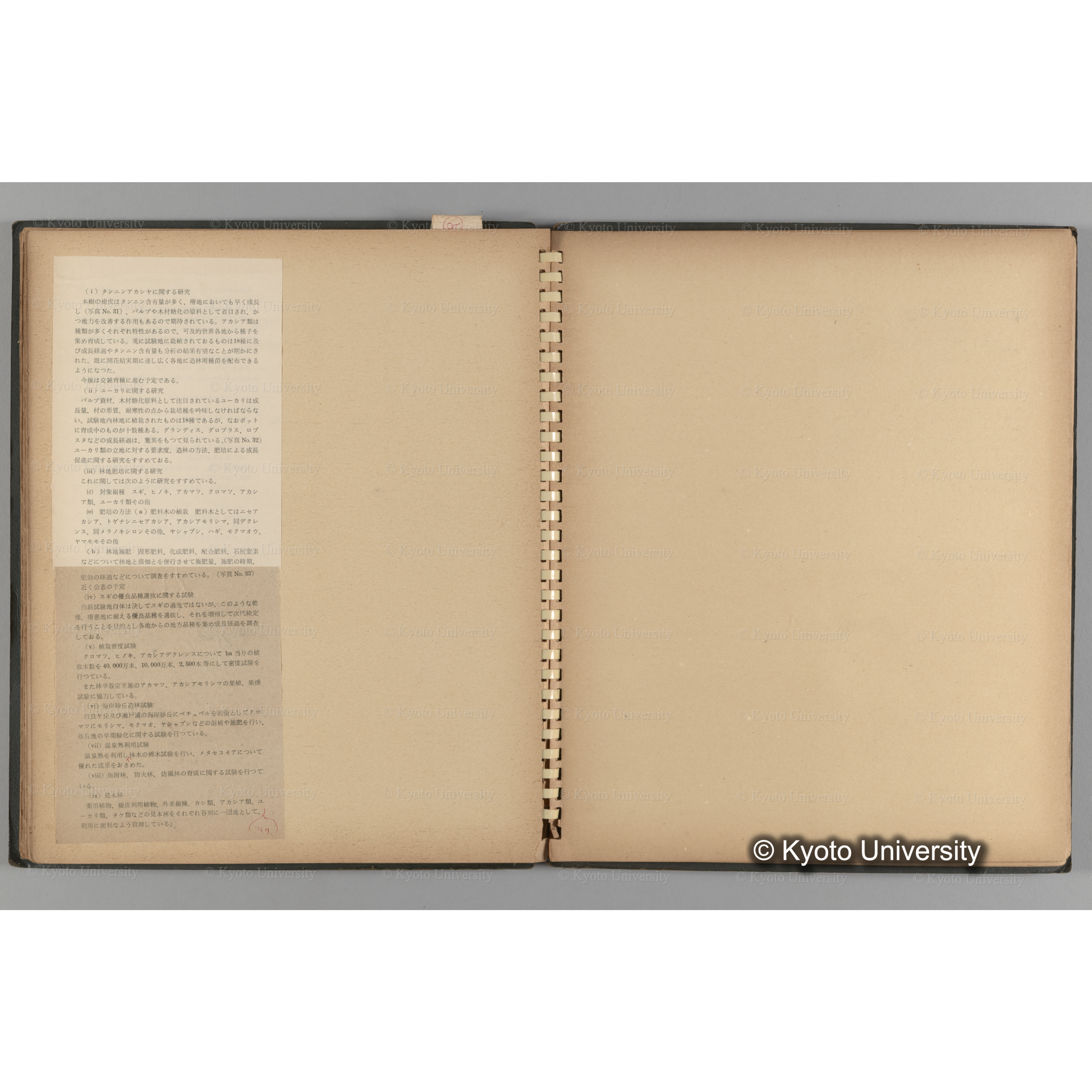 [国内演習林緑アルバム1957(緑色表紙)] PHOTO ALBUM (ラベル)「(破損)[No.4 白浜試験]地 (破損)[徳山]試験地」. (11)