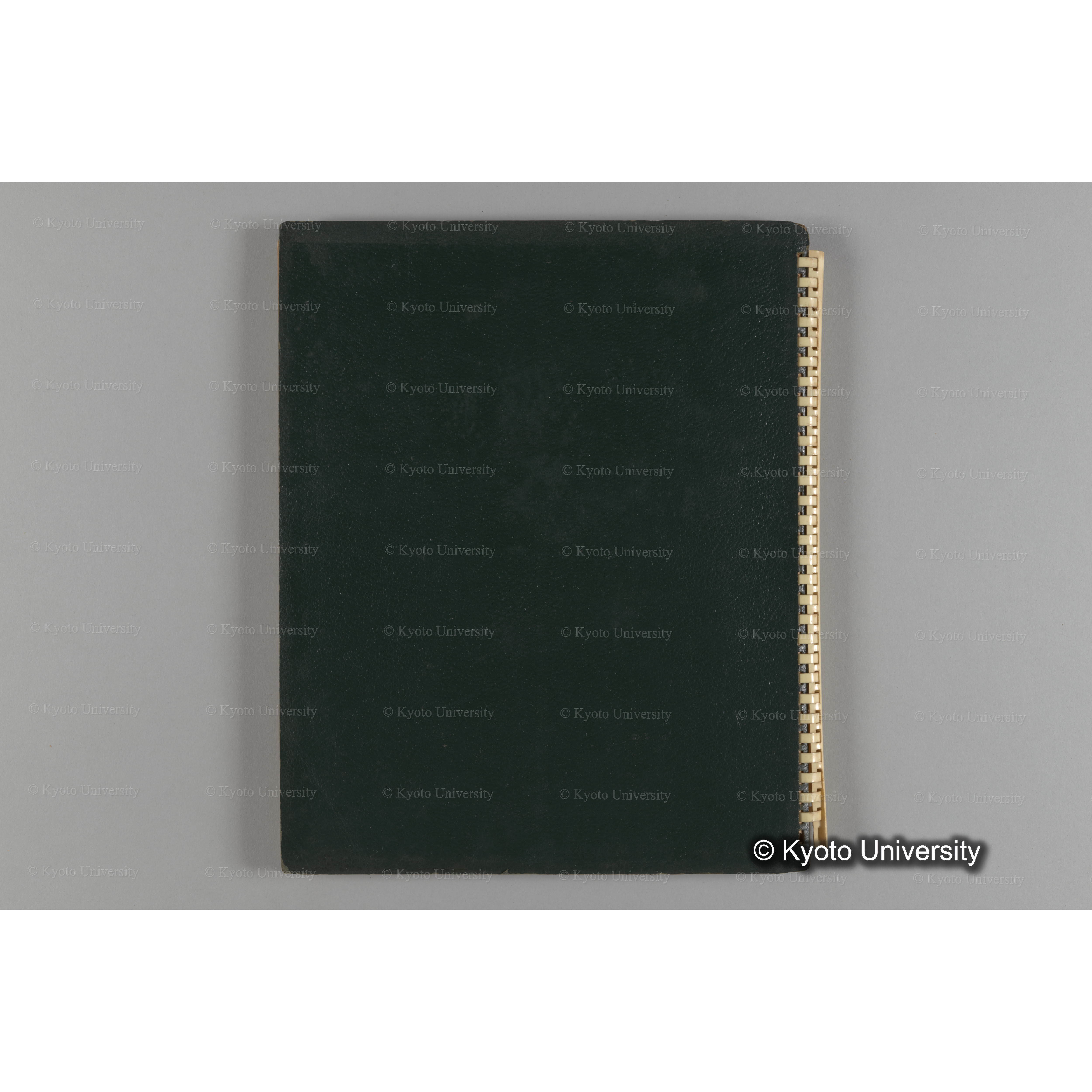 [国内演習林緑アルバム1957(緑色表紙)] PHOTO ALBUM (ラベル)「(破損)[No.4 白浜試験]地 (破損)[徳山]試験地」. (19)