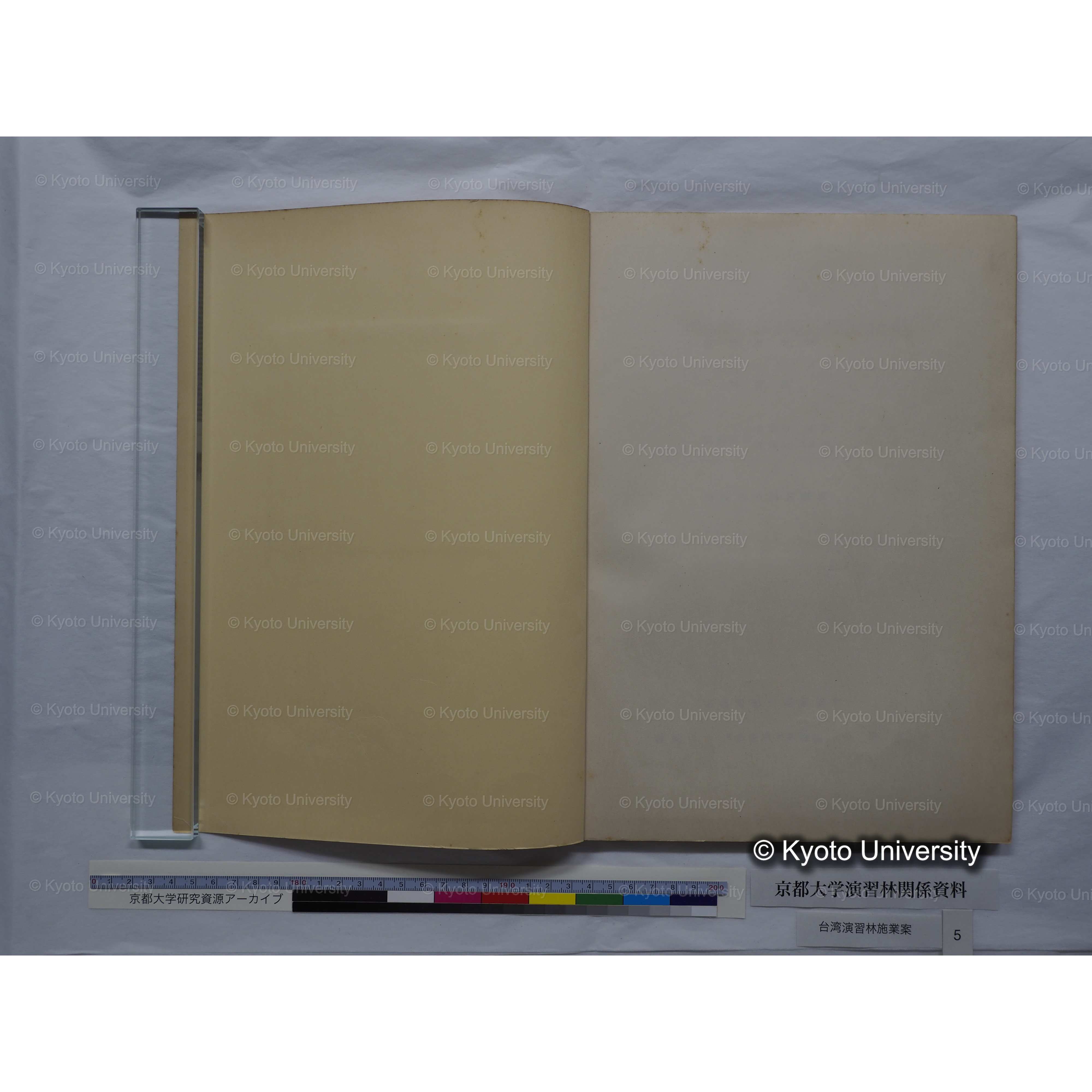 台湾演習林　施業案　実行期間＜自昭和 6年／至昭和12年＞　昭和六年四月編成. (23)