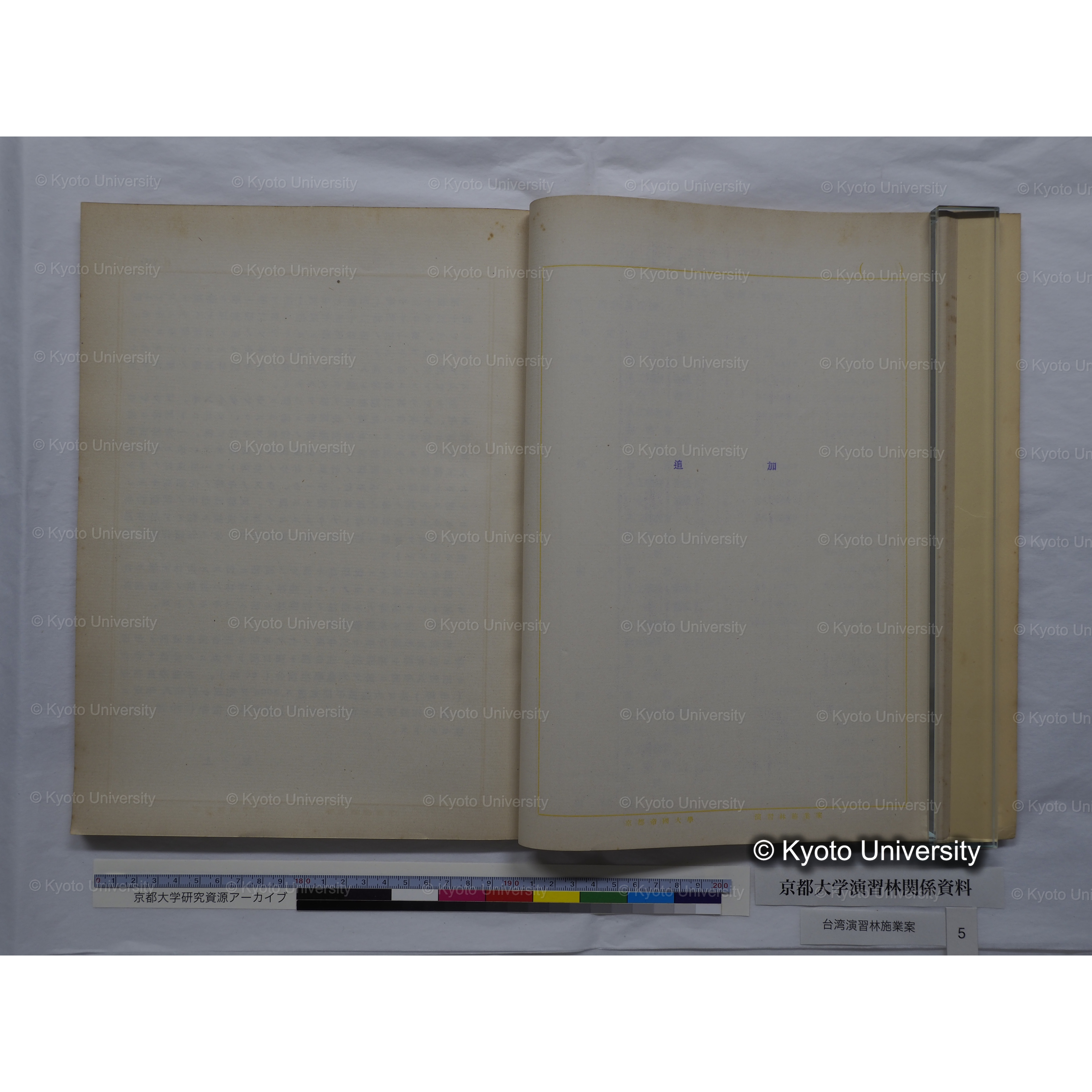 台湾演習林　施業案　実行期間＜自昭和 6年／至昭和12年＞　昭和六年四月編成. (28)