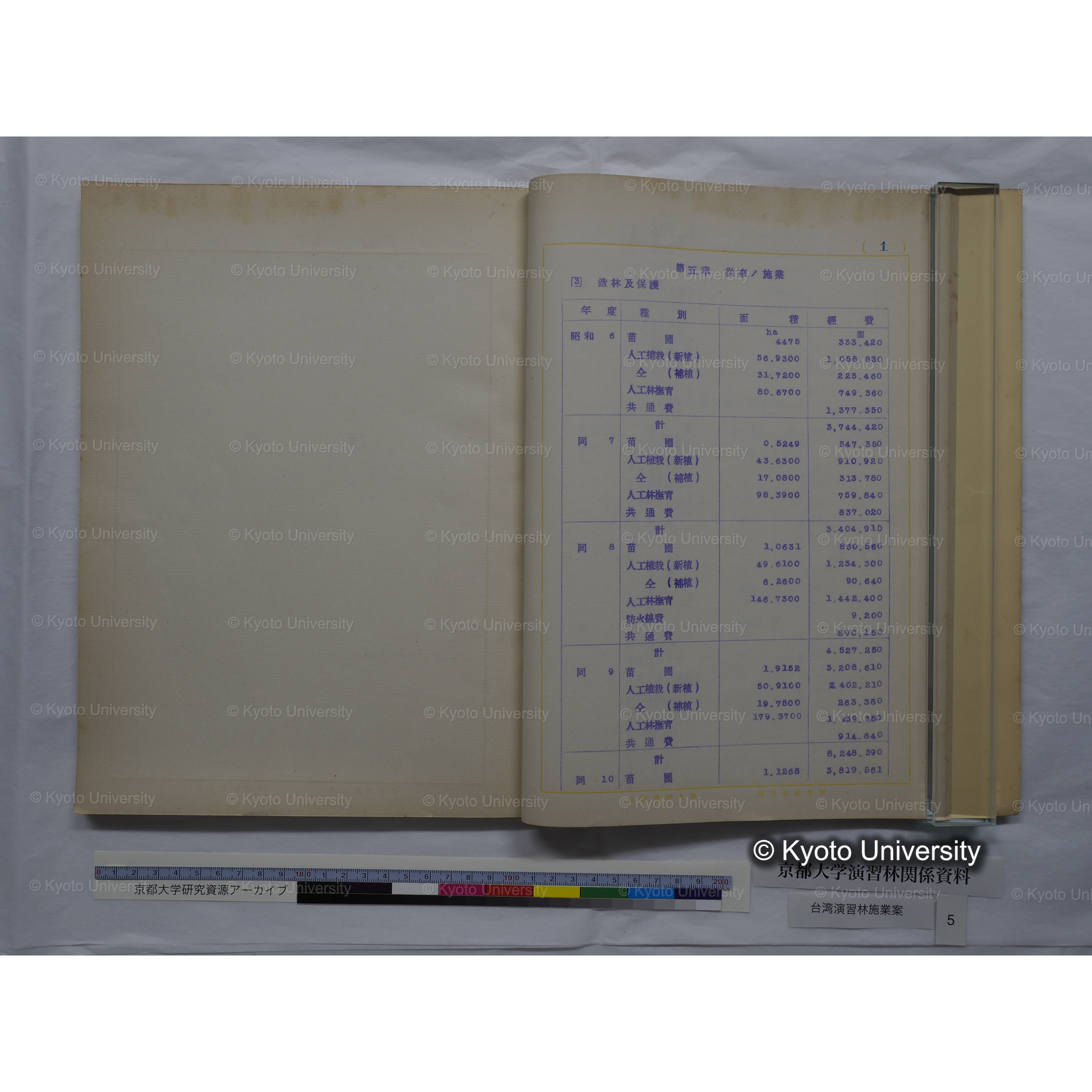 台湾演習林　施業案　実行期間＜自昭和 6年／至昭和12年＞　昭和六年四月編成. (29)