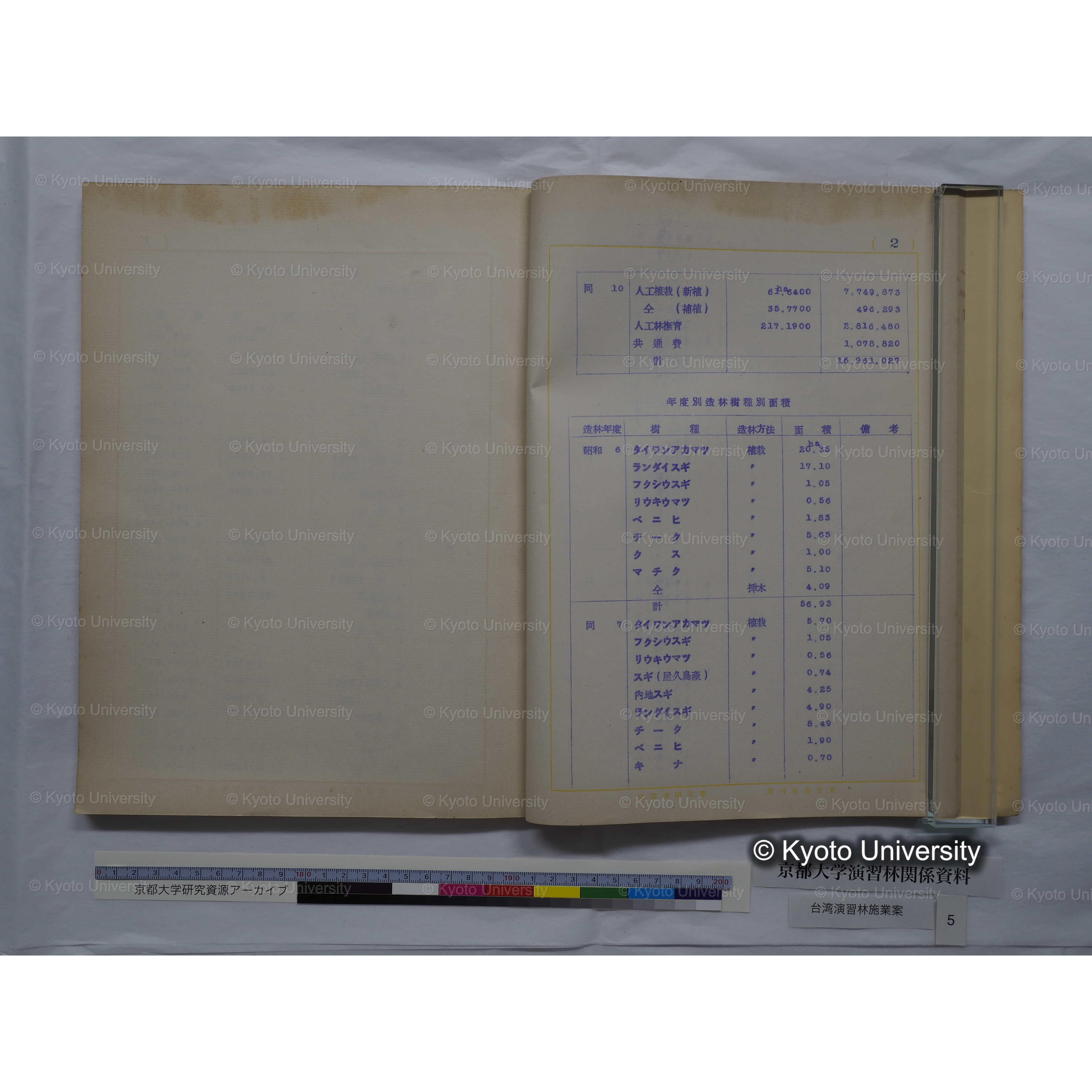 台湾演習林　施業案　実行期間＜自昭和 6年／至昭和12年＞　昭和六年四月編成. (30)
