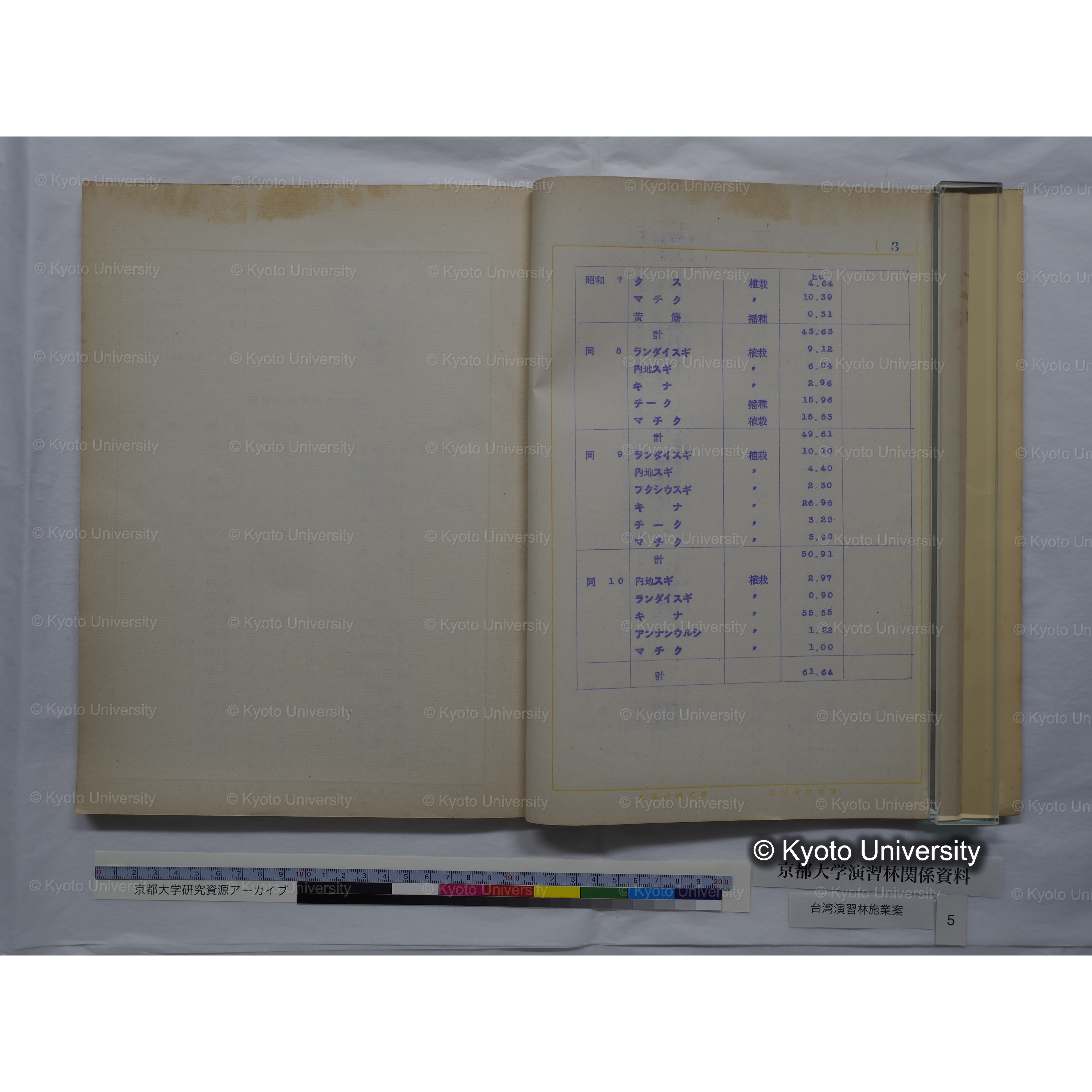台湾演習林　施業案　実行期間＜自昭和 6年／至昭和12年＞　昭和六年四月編成. (31)