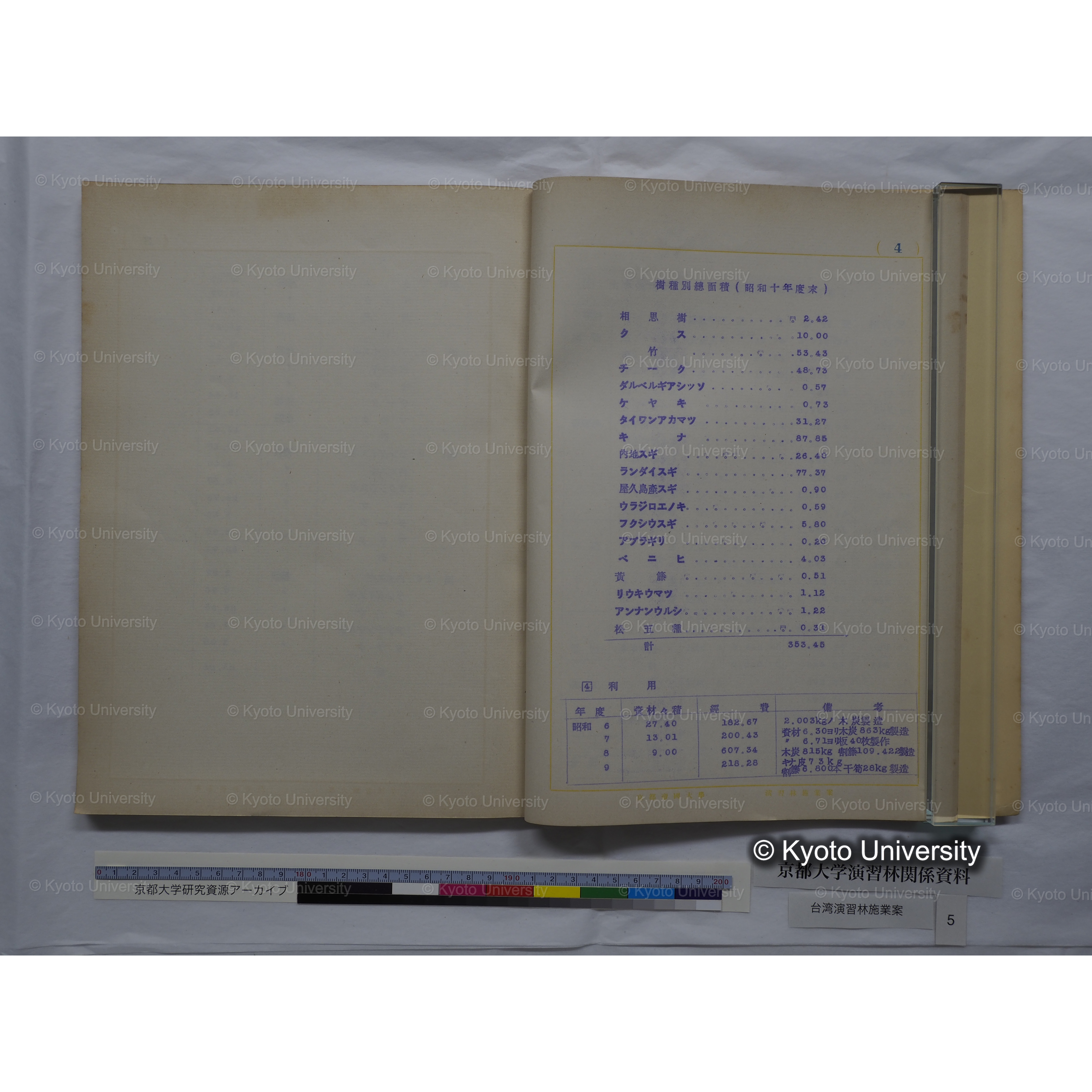 台湾演習林　施業案　実行期間＜自昭和 6年／至昭和12年＞　昭和六年四月編成. (32)