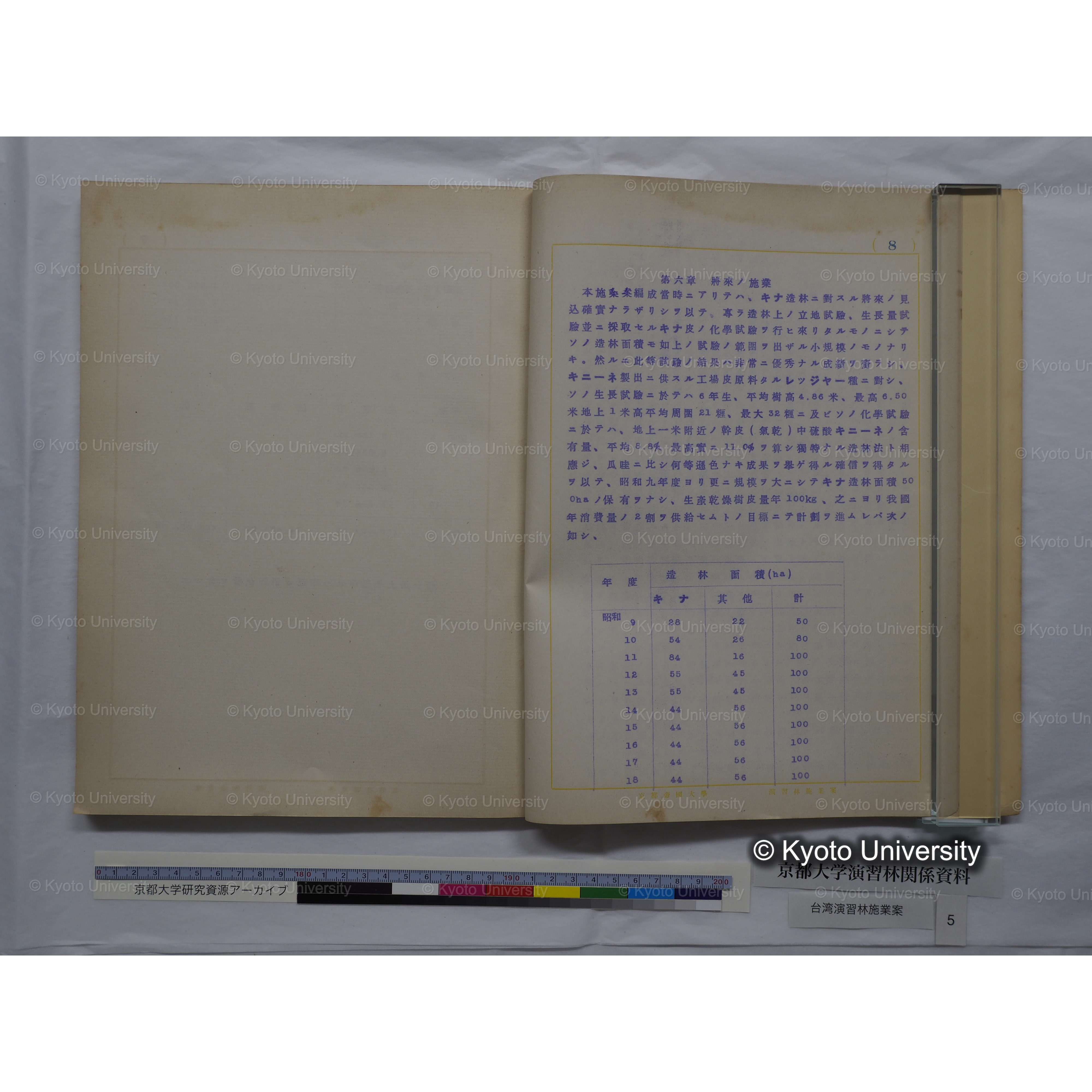 台湾演習林　施業案　実行期間＜自昭和 6年／至昭和12年＞　昭和六年四月編成. (36)