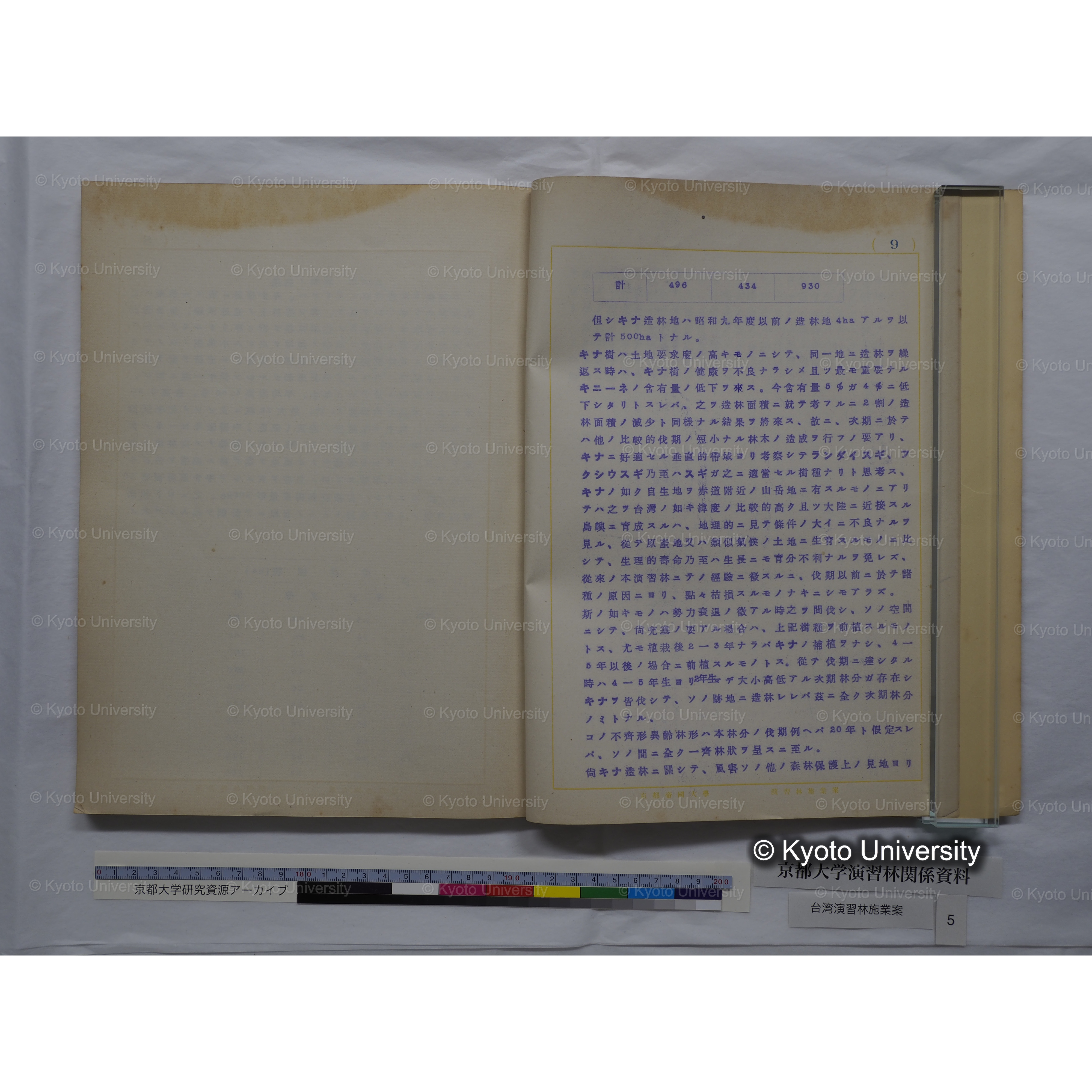 台湾演習林　施業案　実行期間＜自昭和 6年／至昭和12年＞　昭和六年四月編成. (37)