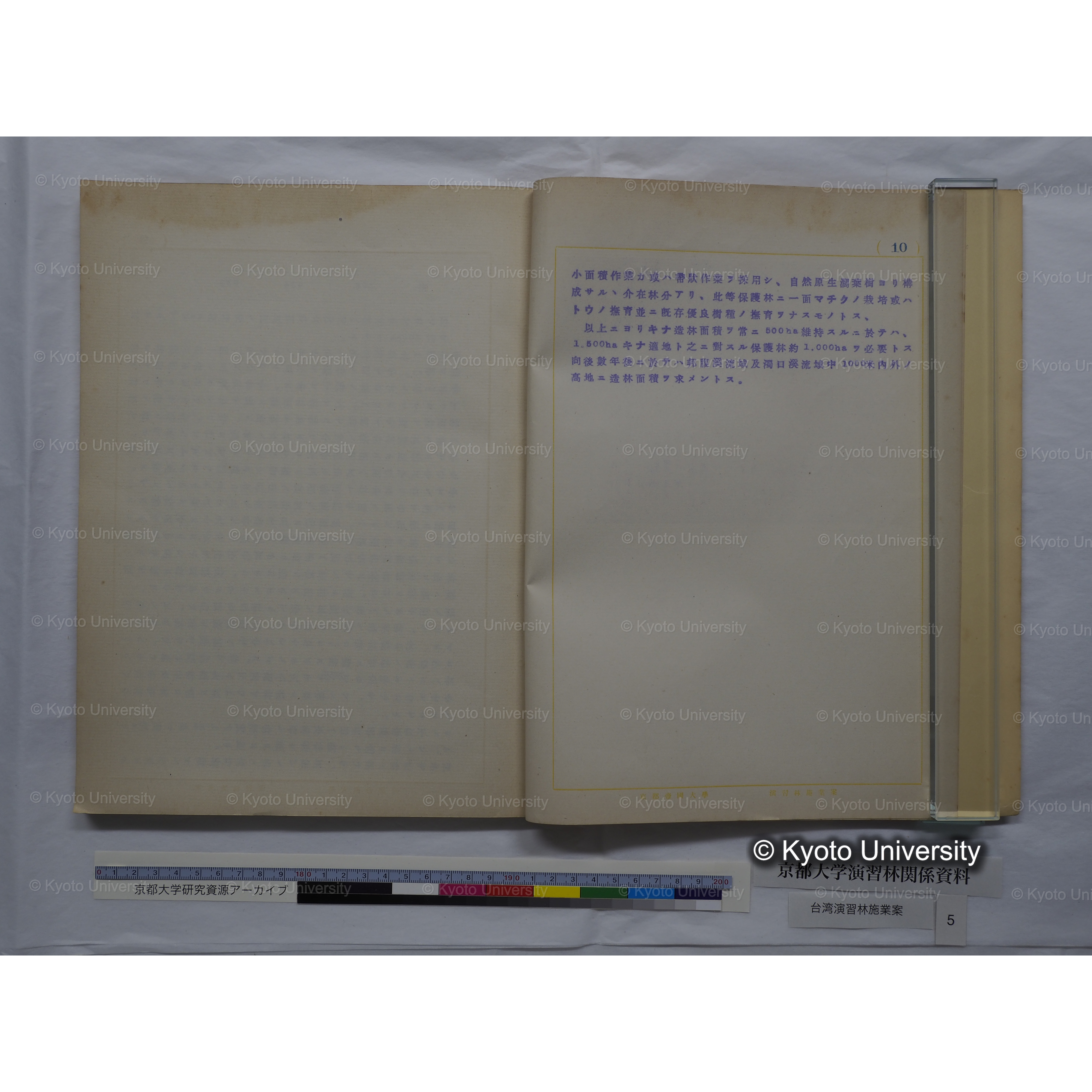 台湾演習林　施業案　実行期間＜自昭和 6年／至昭和12年＞　昭和六年四月編成. (38)