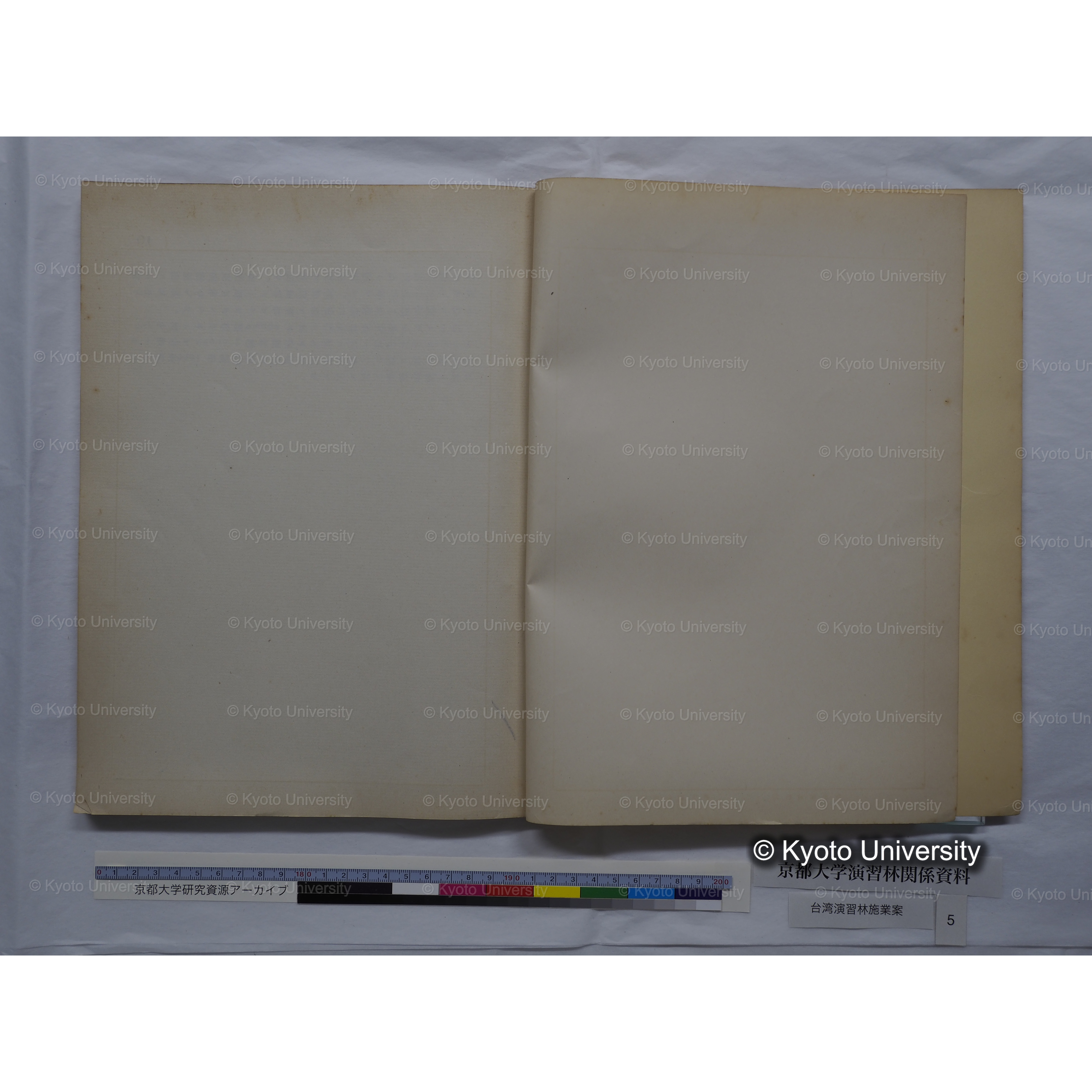 台湾演習林　施業案　実行期間＜自昭和 6年／至昭和12年＞　昭和六年四月編成. (39)