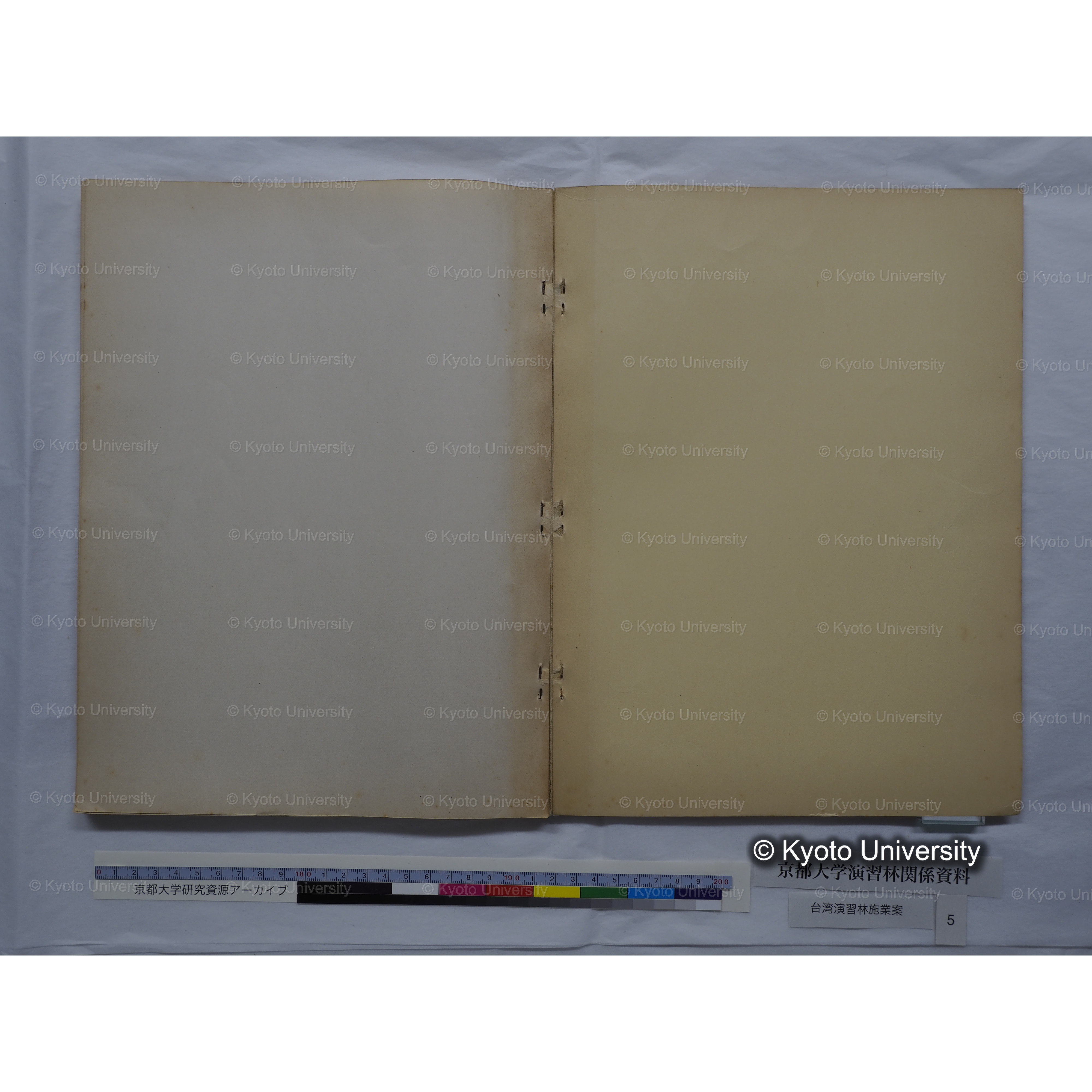 台湾演習林　施業案　実行期間＜自昭和 6年／至昭和12年＞　昭和六年四月編成. (40)