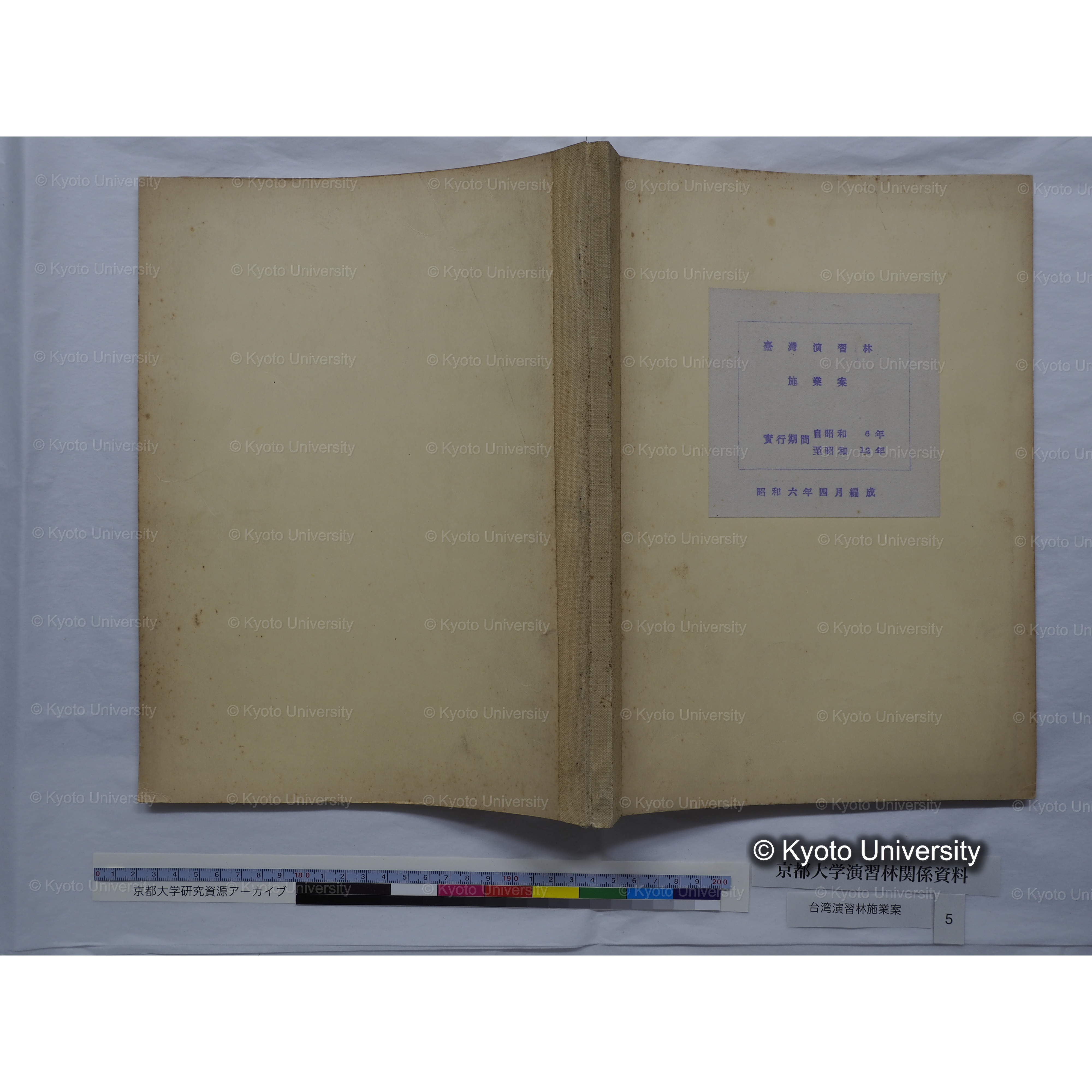 台湾演習林　施業案　実行期間＜自昭和 6年／至昭和12年＞　昭和六年四月編成. (42)