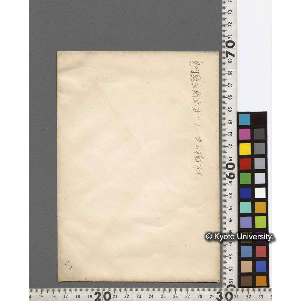 見附駐在所北方のカシ樹林 (2)