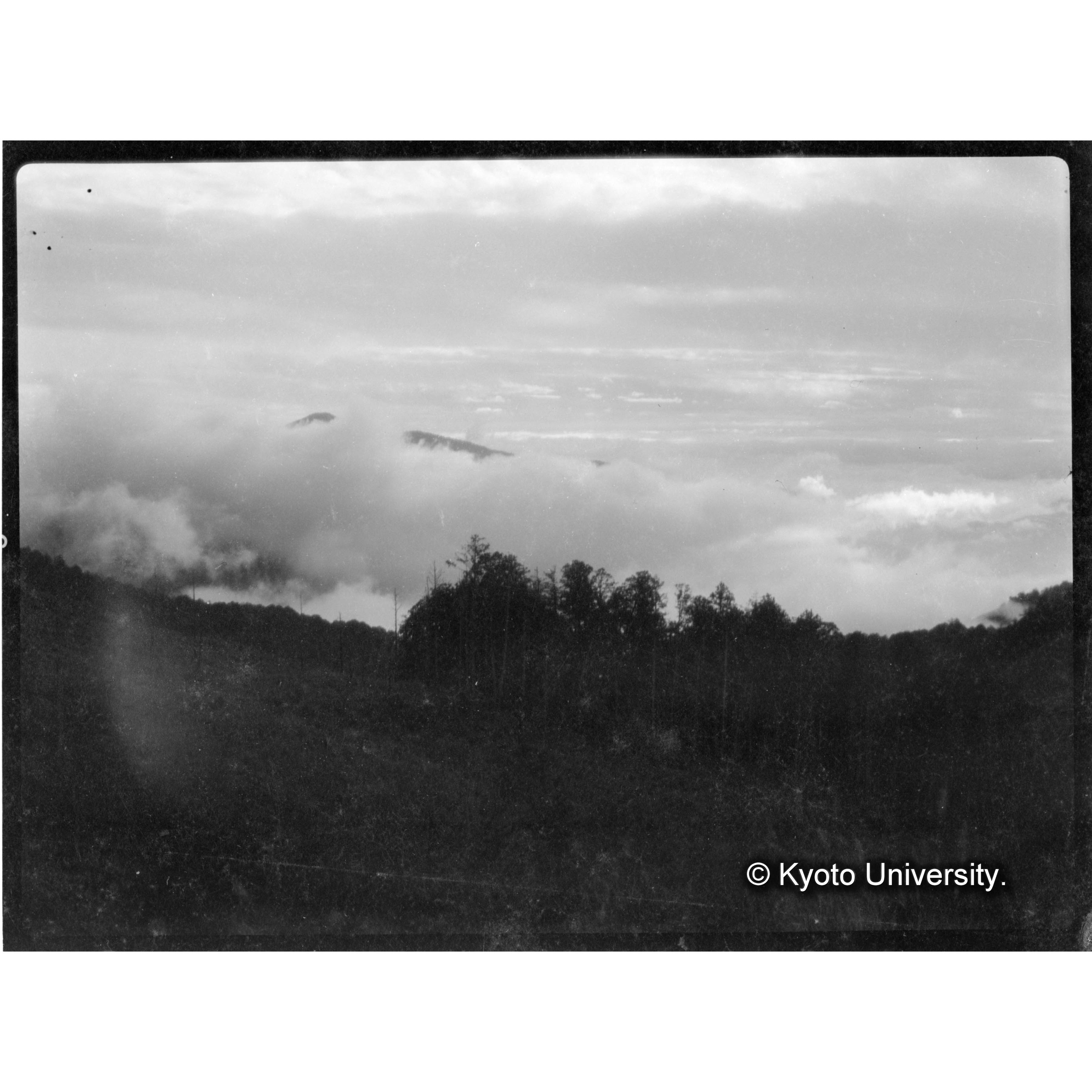 金柑樹山、　雲海 (1)