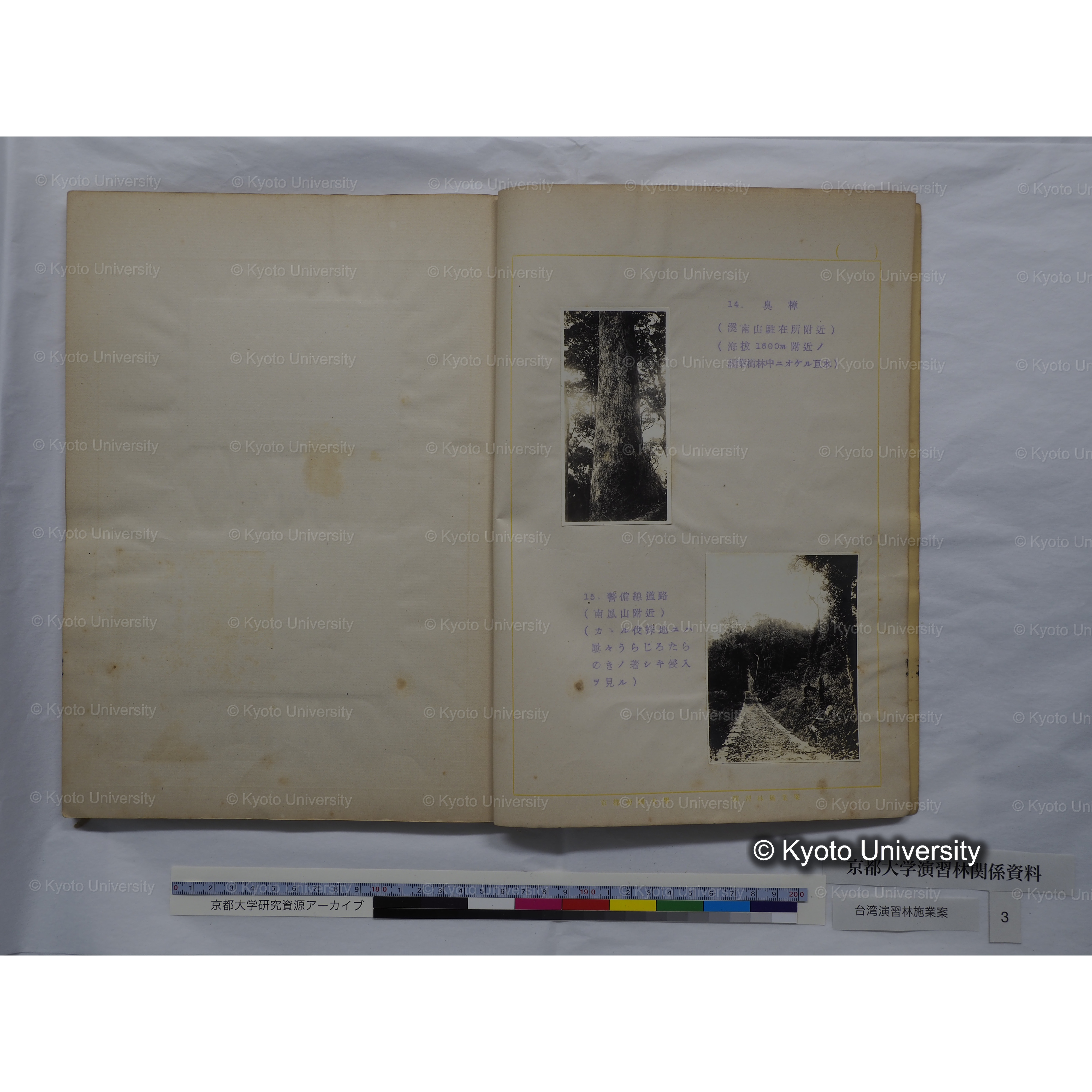 台湾演　施業案　昭和六年四月. (8)