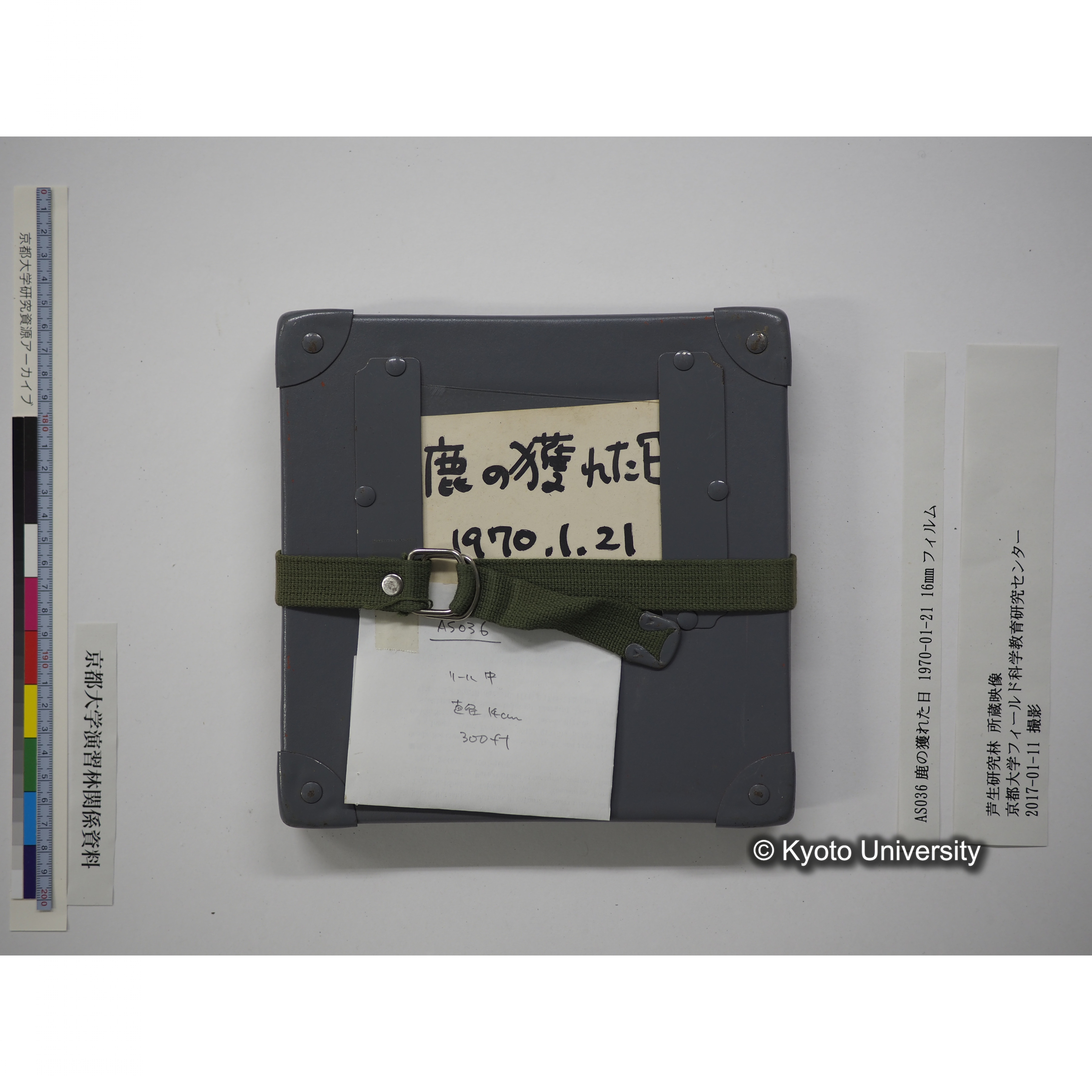 鹿の獲れた日 1970-01-21 (13)