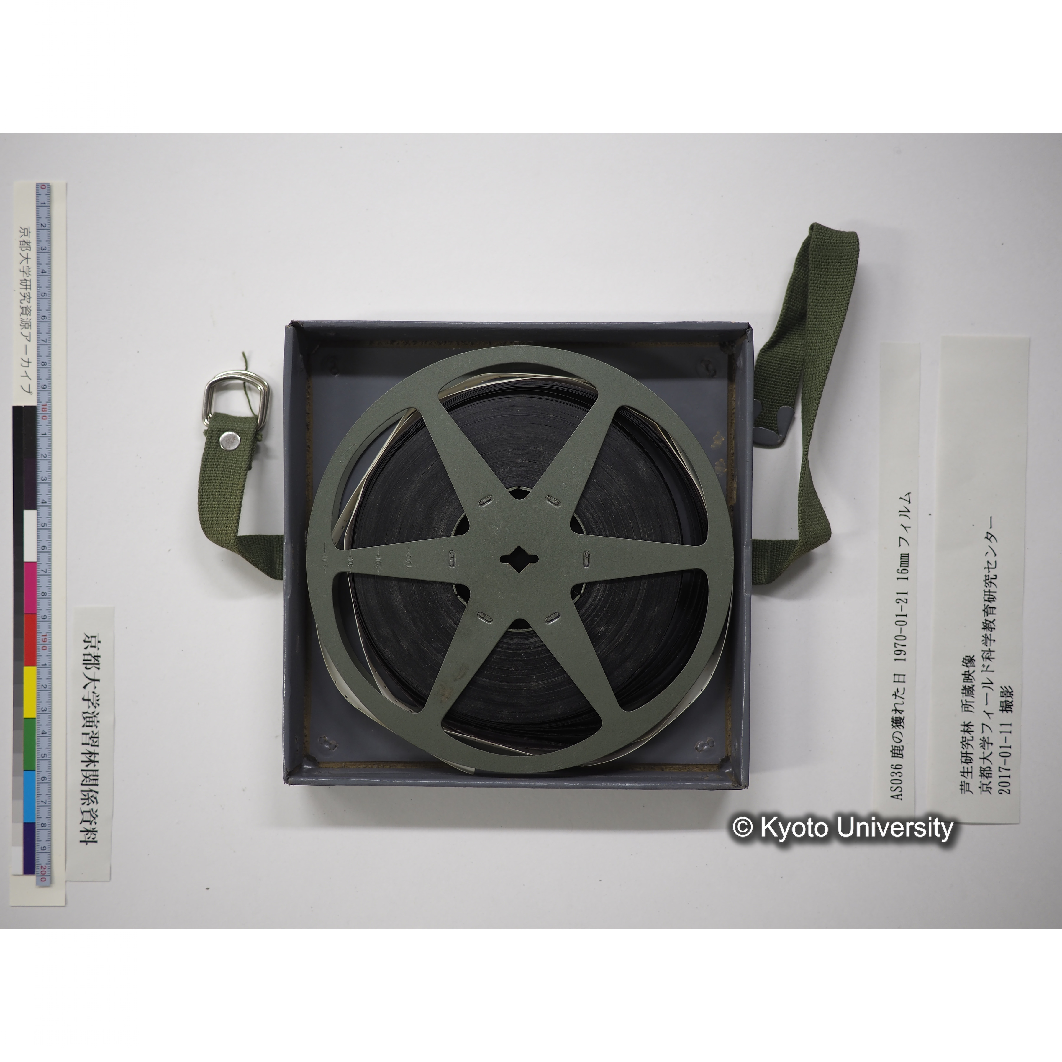 鹿の獲れた日 1970-01-21 (15)