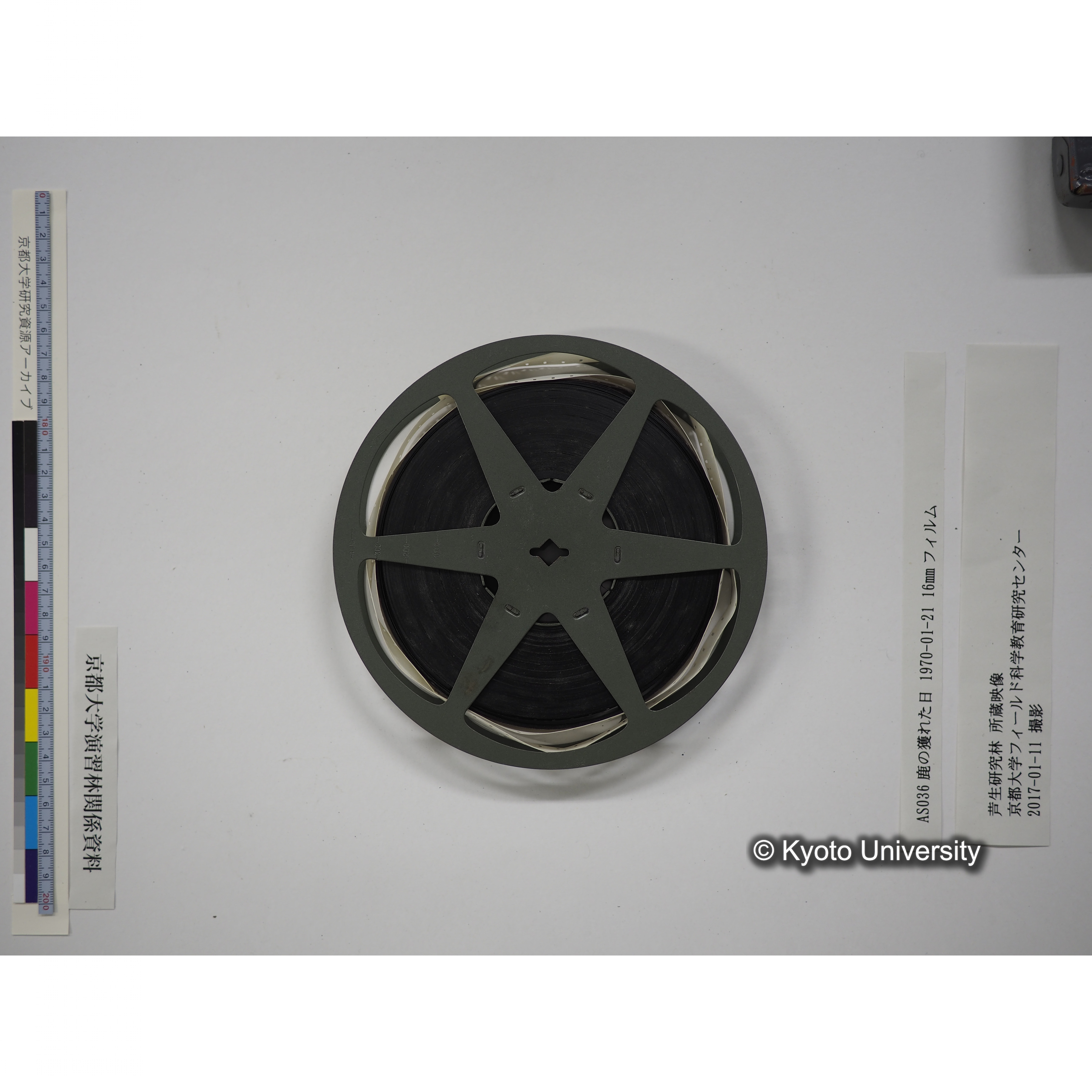 鹿の獲れた日 1970-01-21 (17)