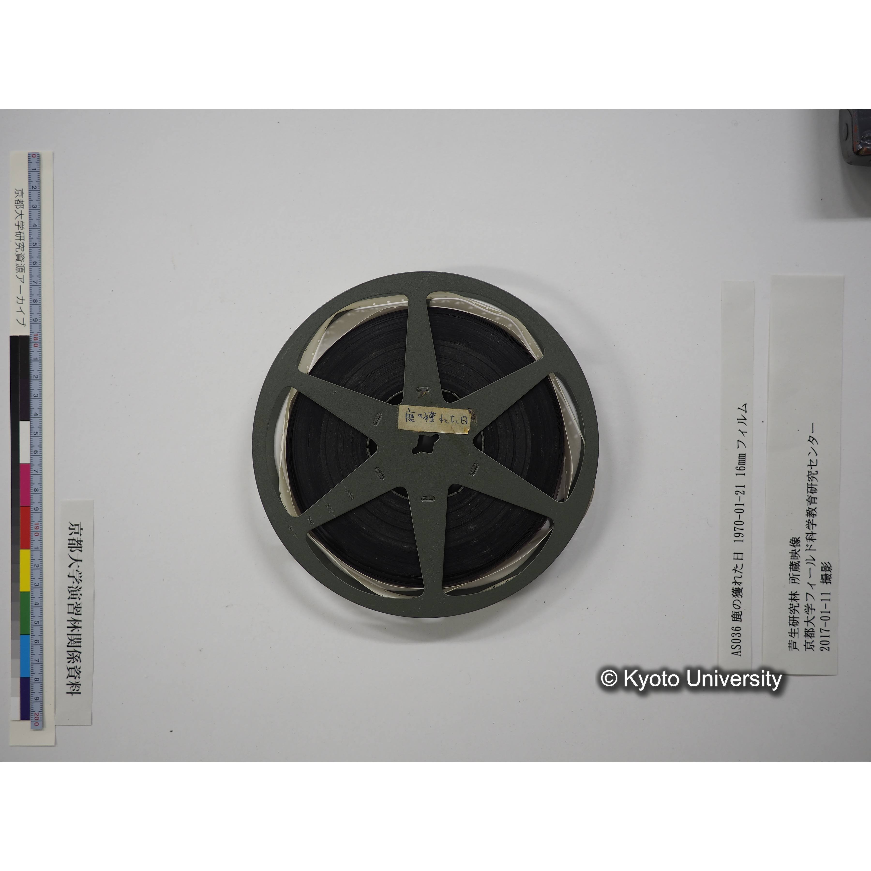 鹿の獲れた日 1970-01-21 (18)