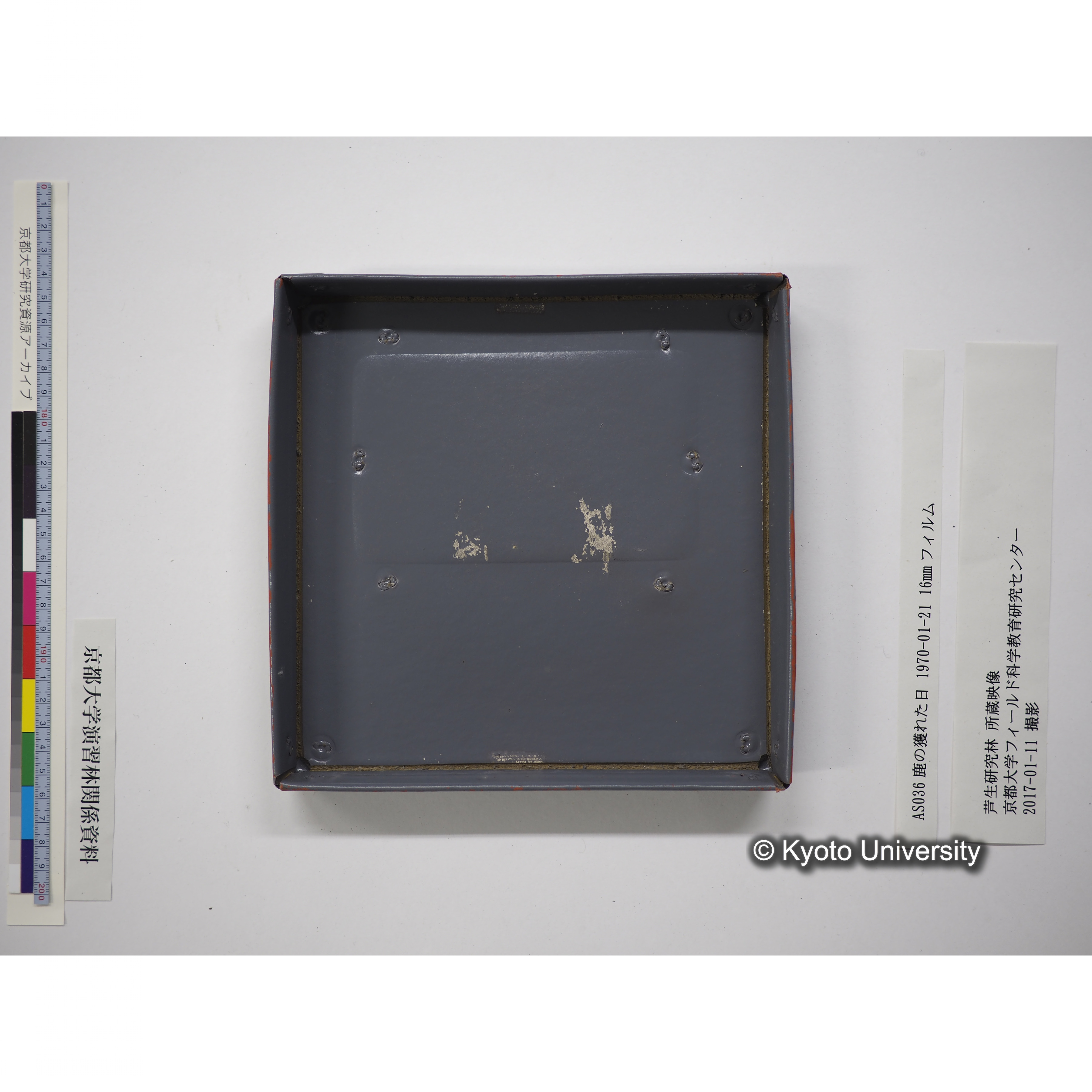 鹿の獲れた日 1970-01-21 (19)