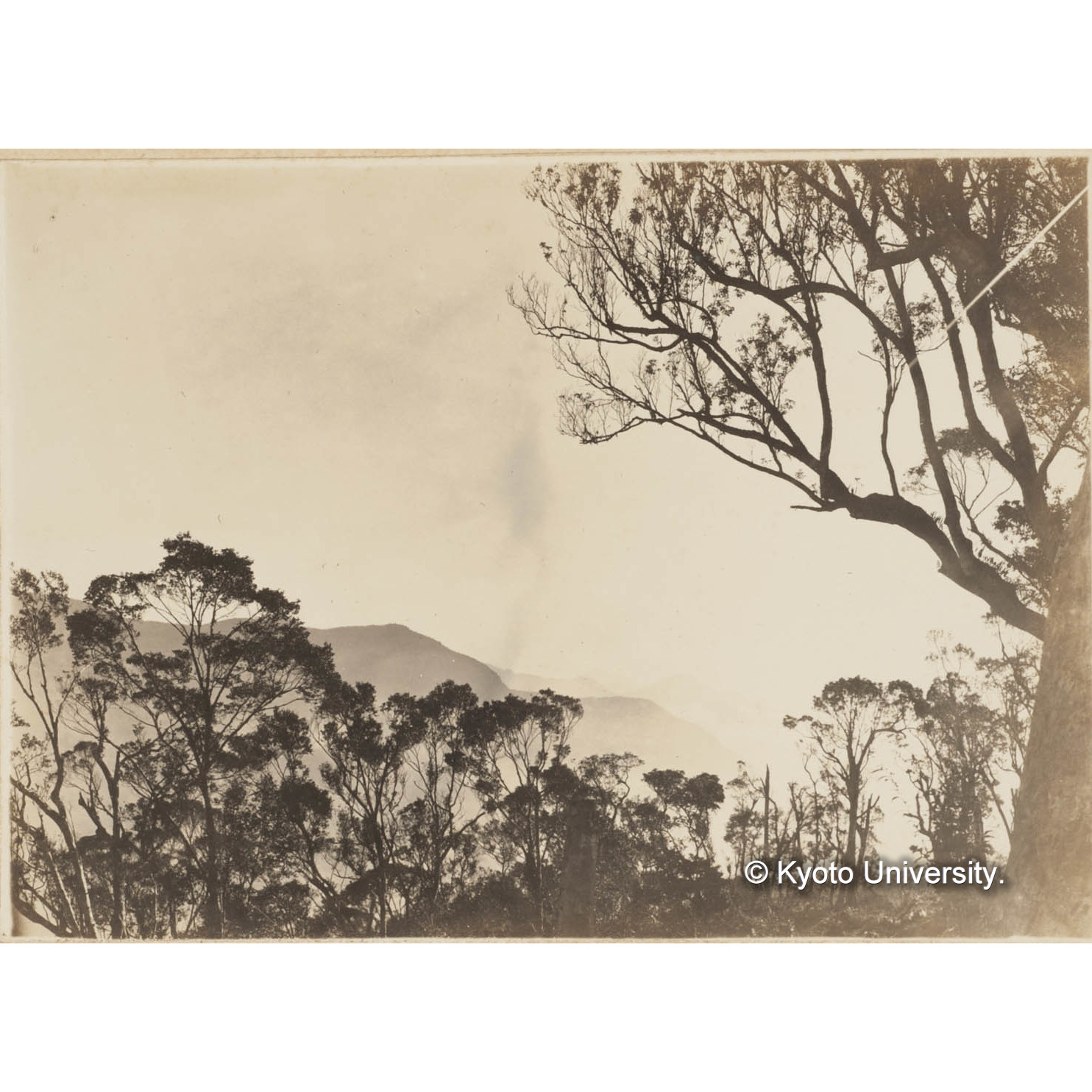 藤枝駐在所より大武山を望む (1)