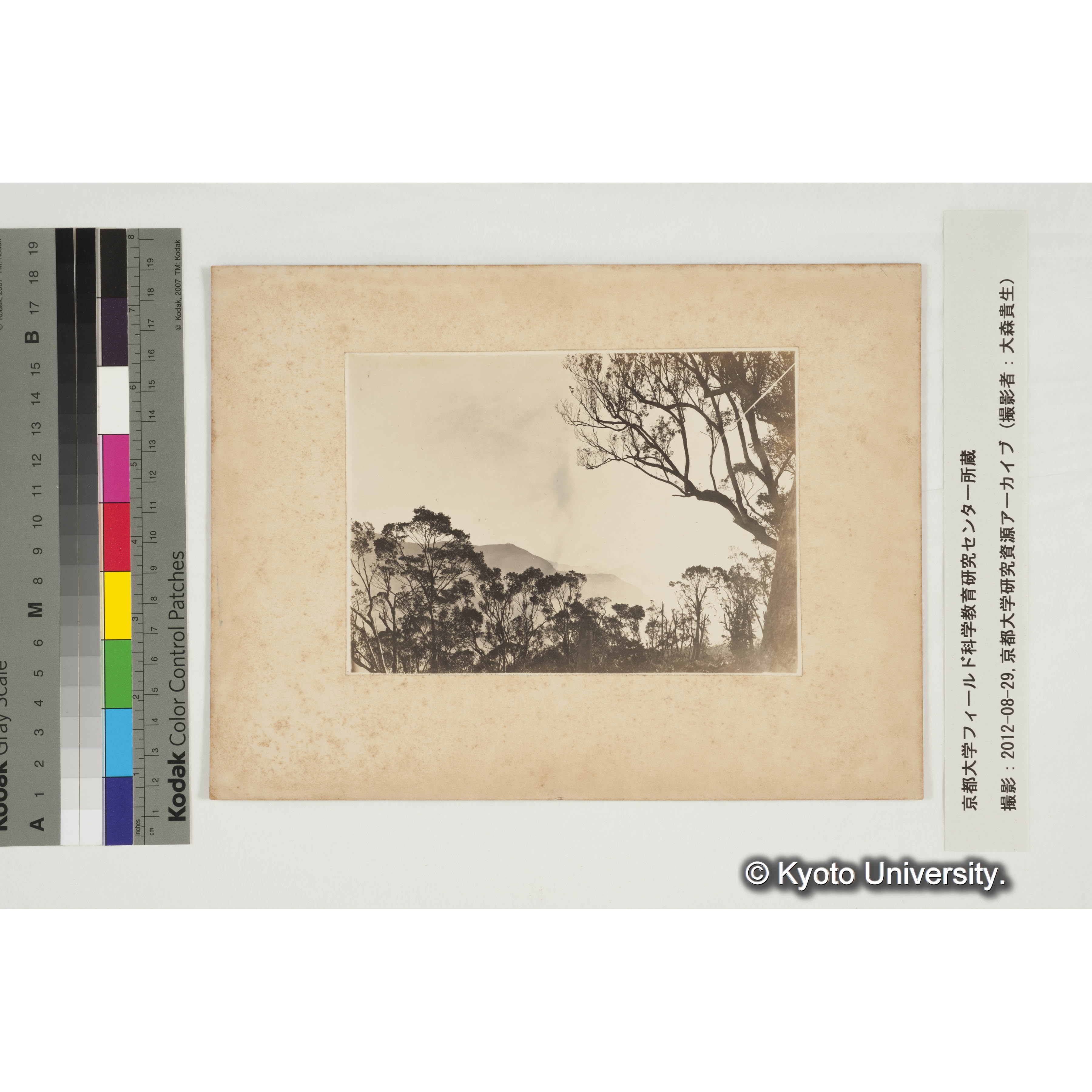 藤枝駐在所より大武山を望む (2)