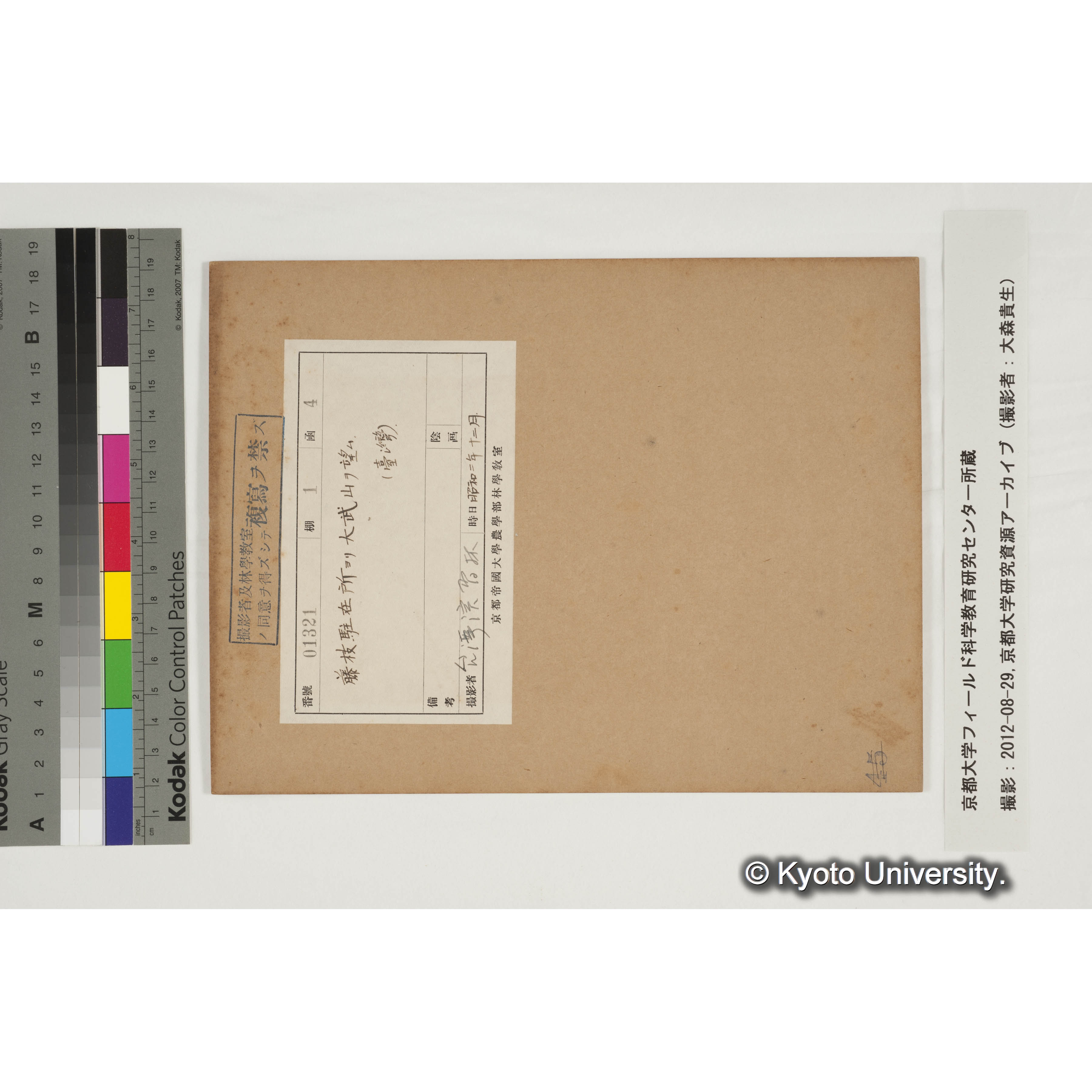 藤枝駐在所より大武山を望む (3)