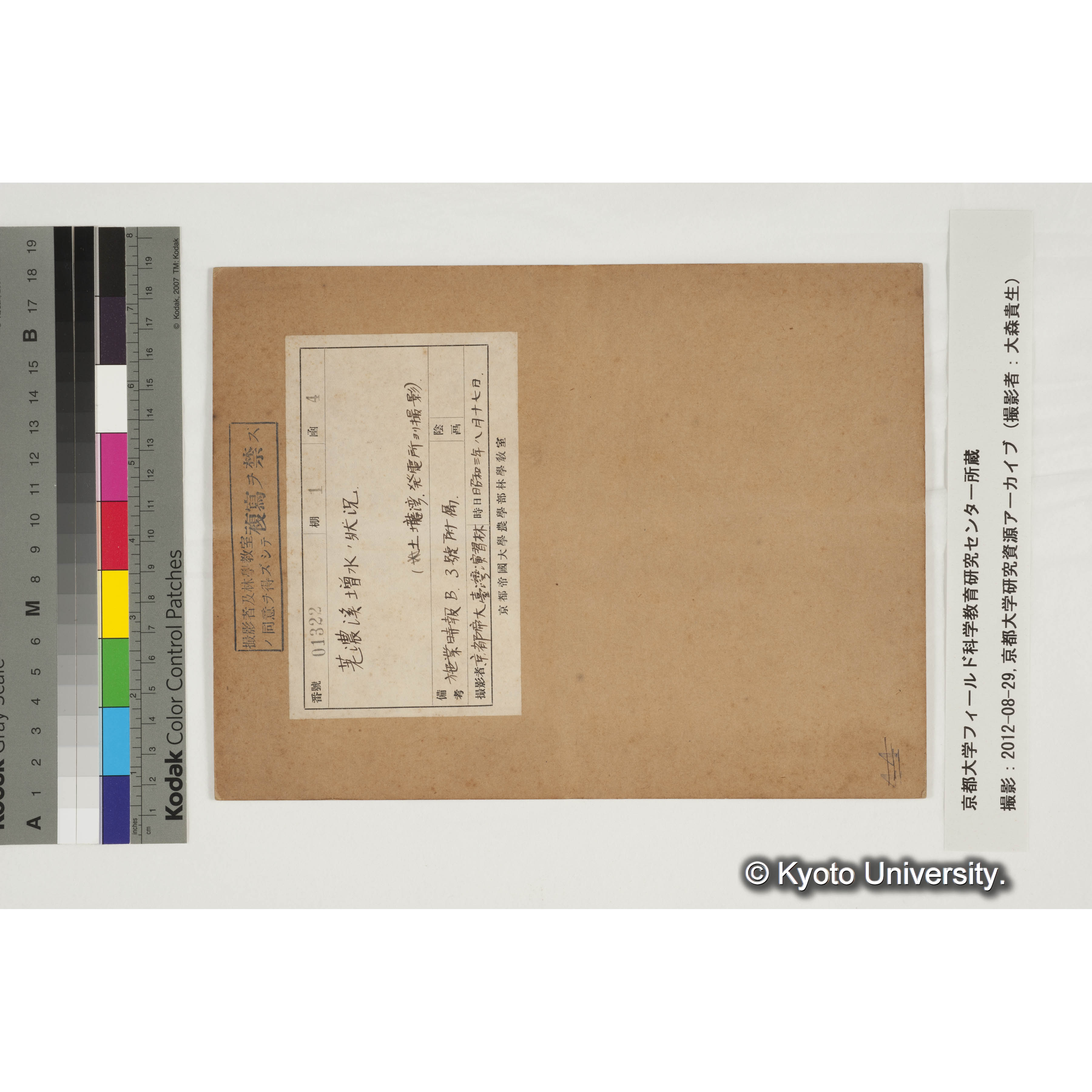 荖濃渓増水の状況 (3)