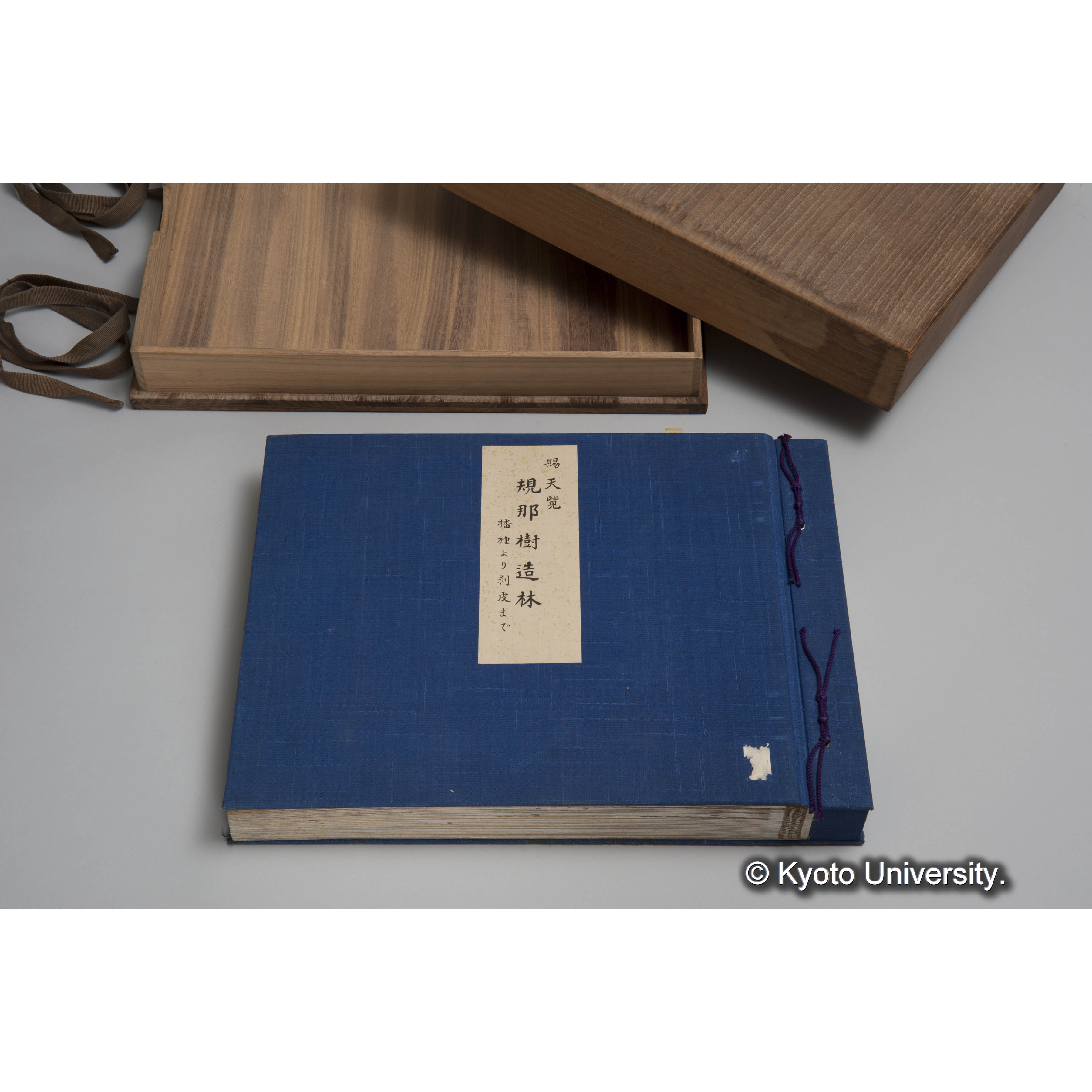 賜 天覧 規那樹造林 播種より剥皮まで. (1)