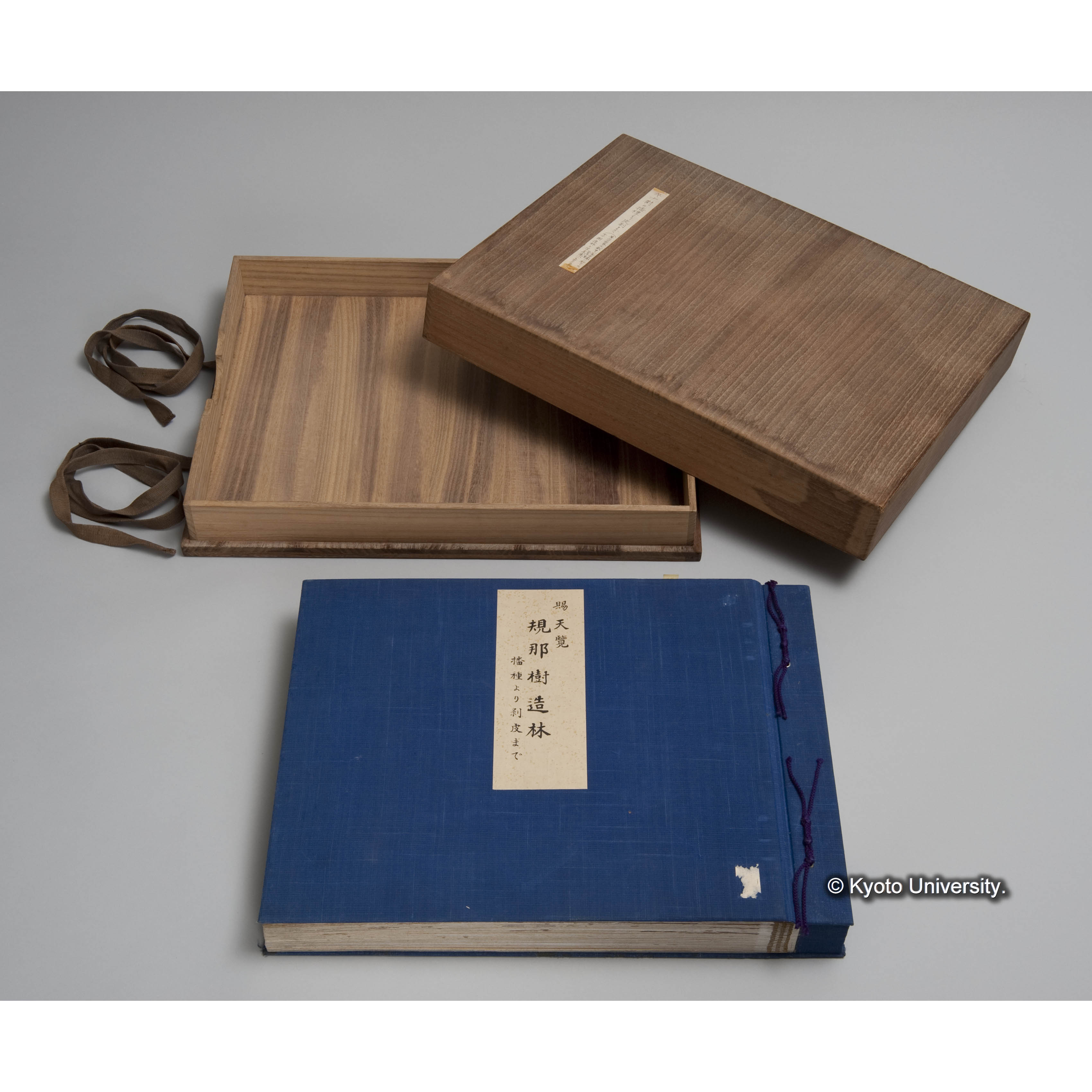 賜 天覧 規那樹造林 播種より剥皮まで. (2)