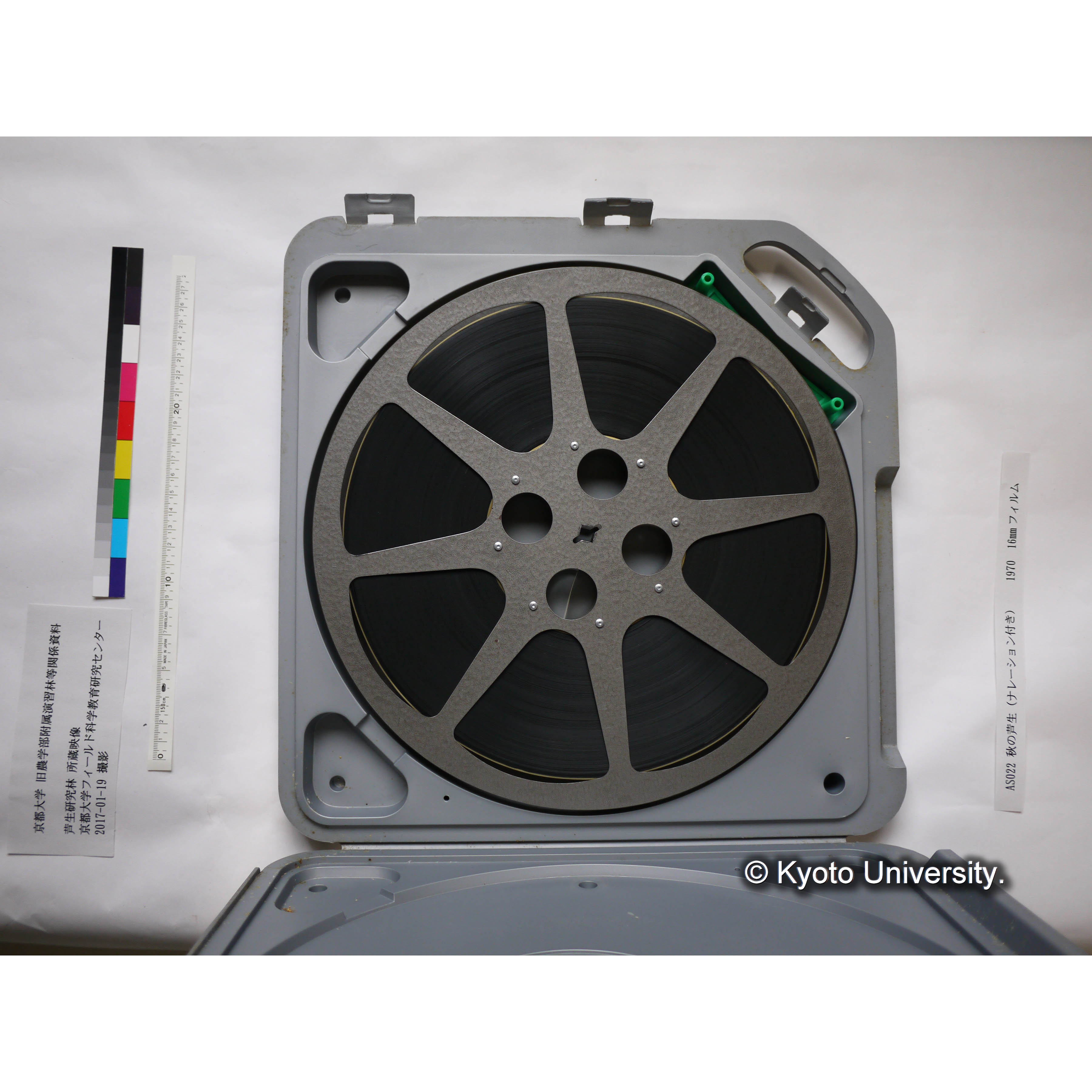 秋の芦生 1970 上映用フィルム (2)