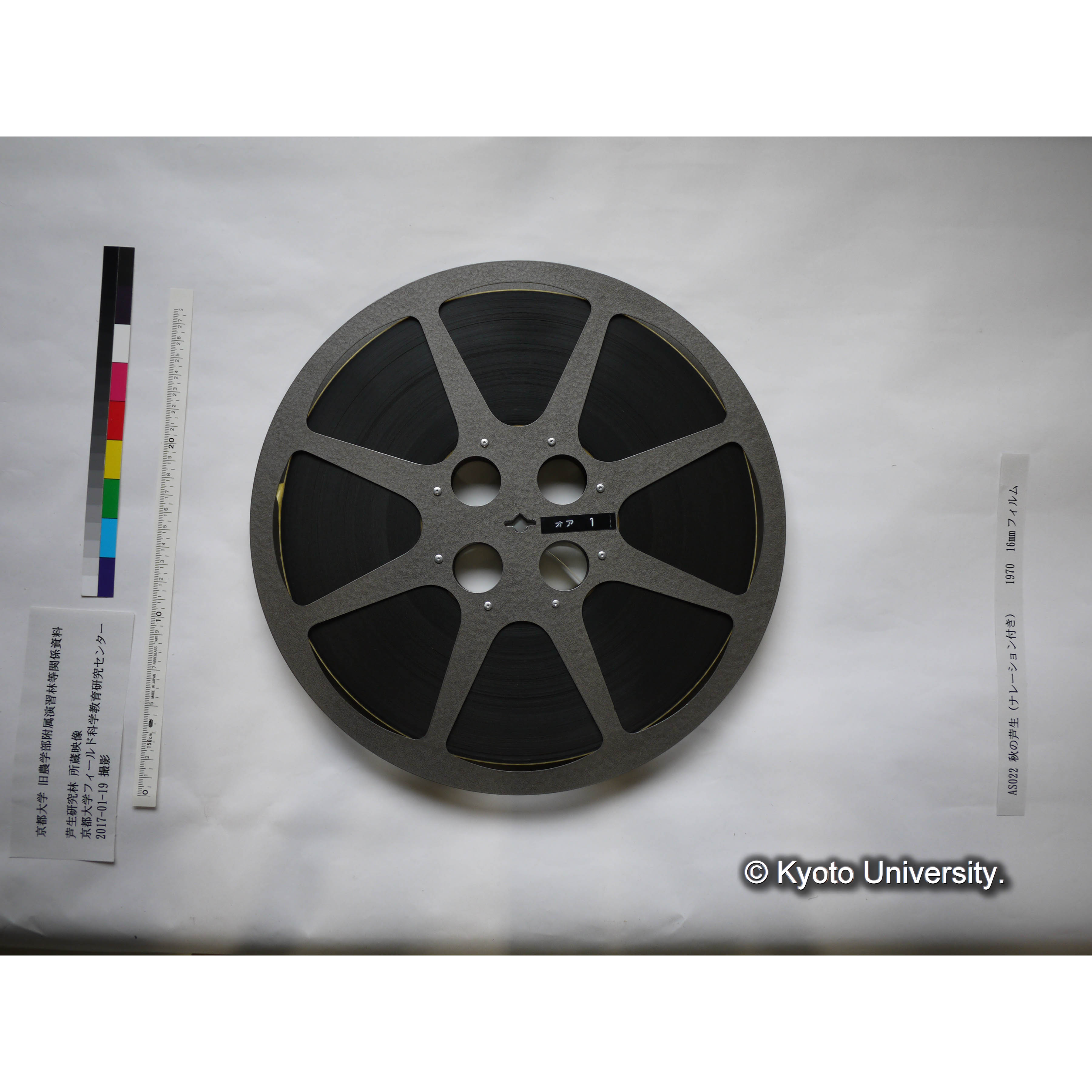 秋の芦生 1970 上映用フィルム (6)