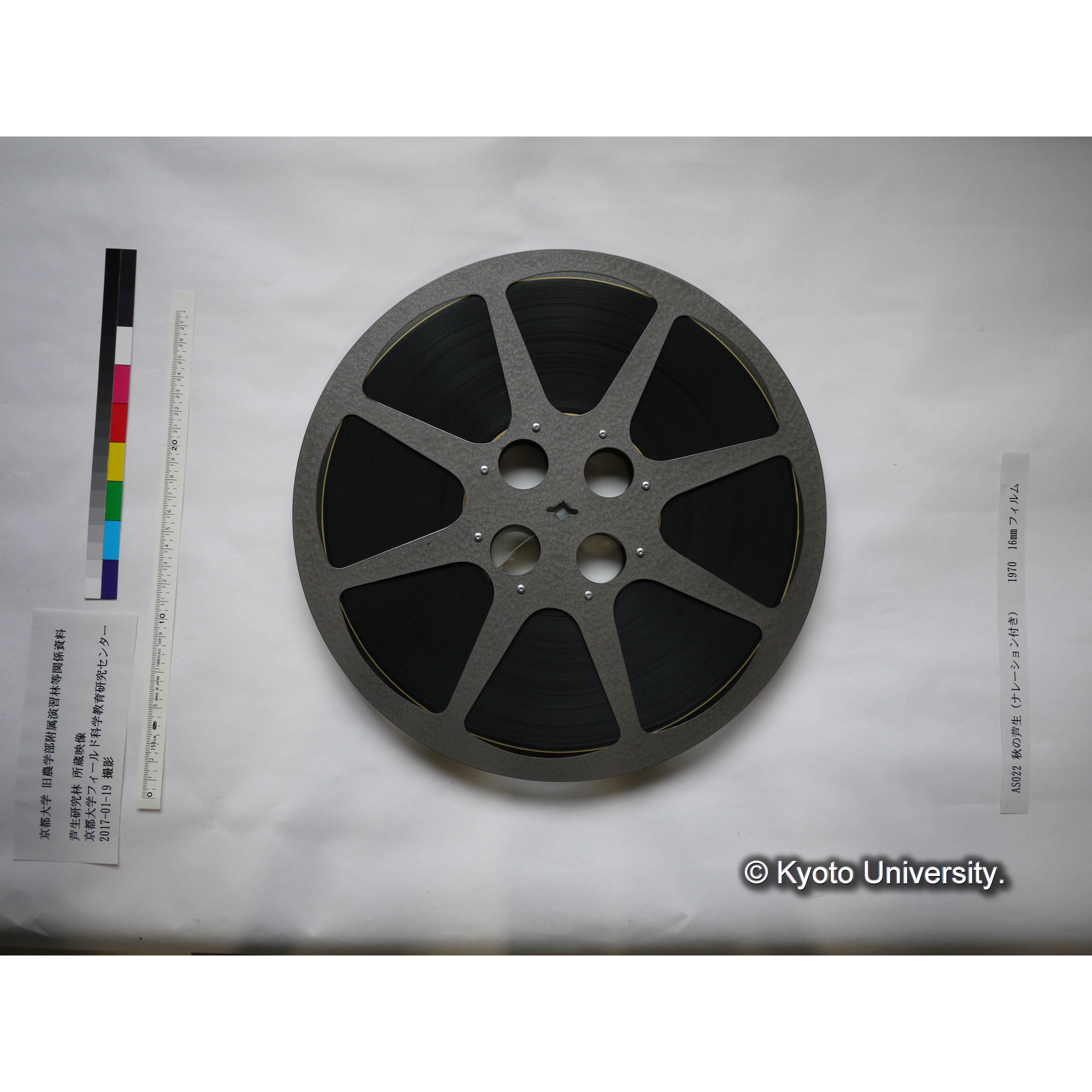 秋の芦生 1970 上映用フィルム (7)