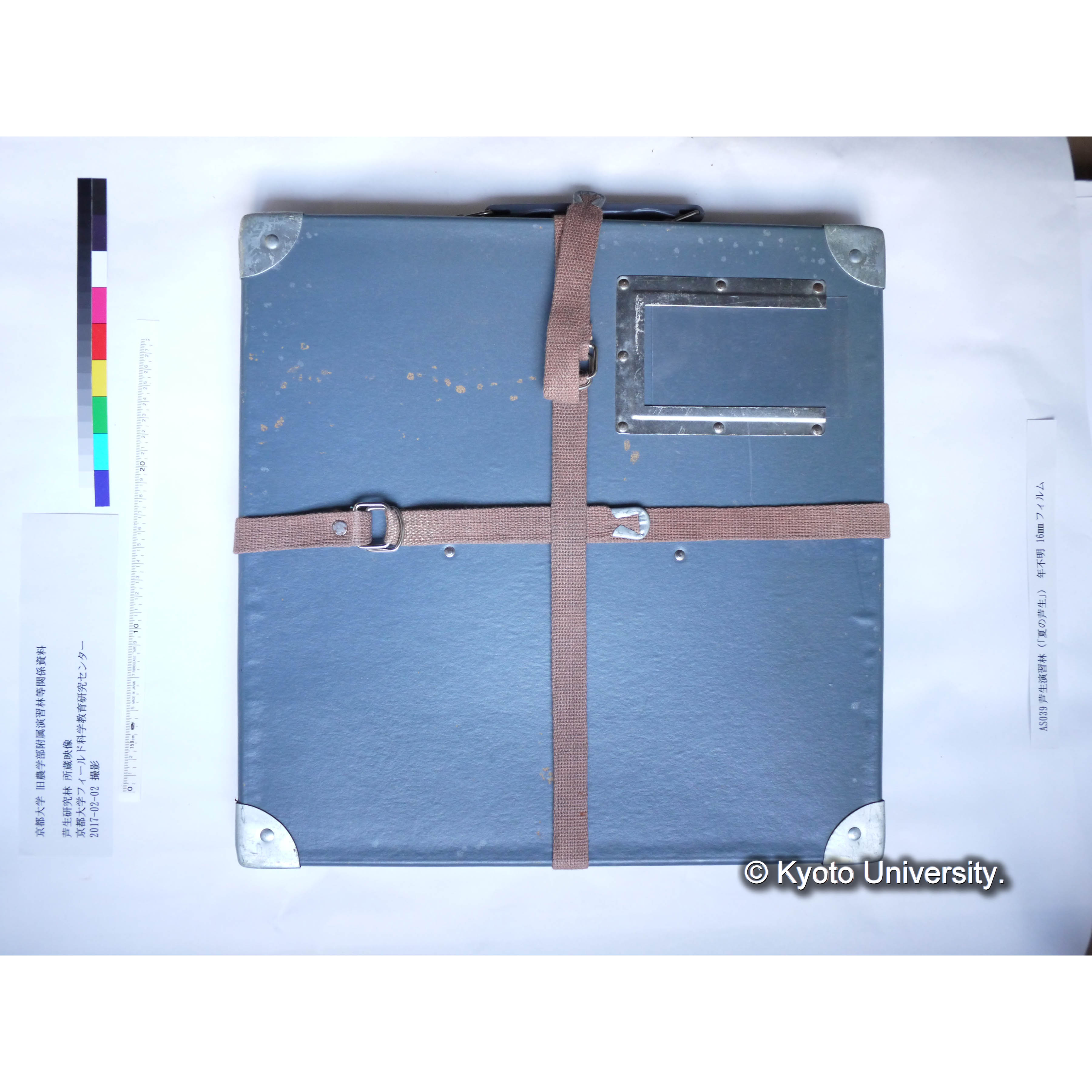 〔夏の芦生〕 (5)