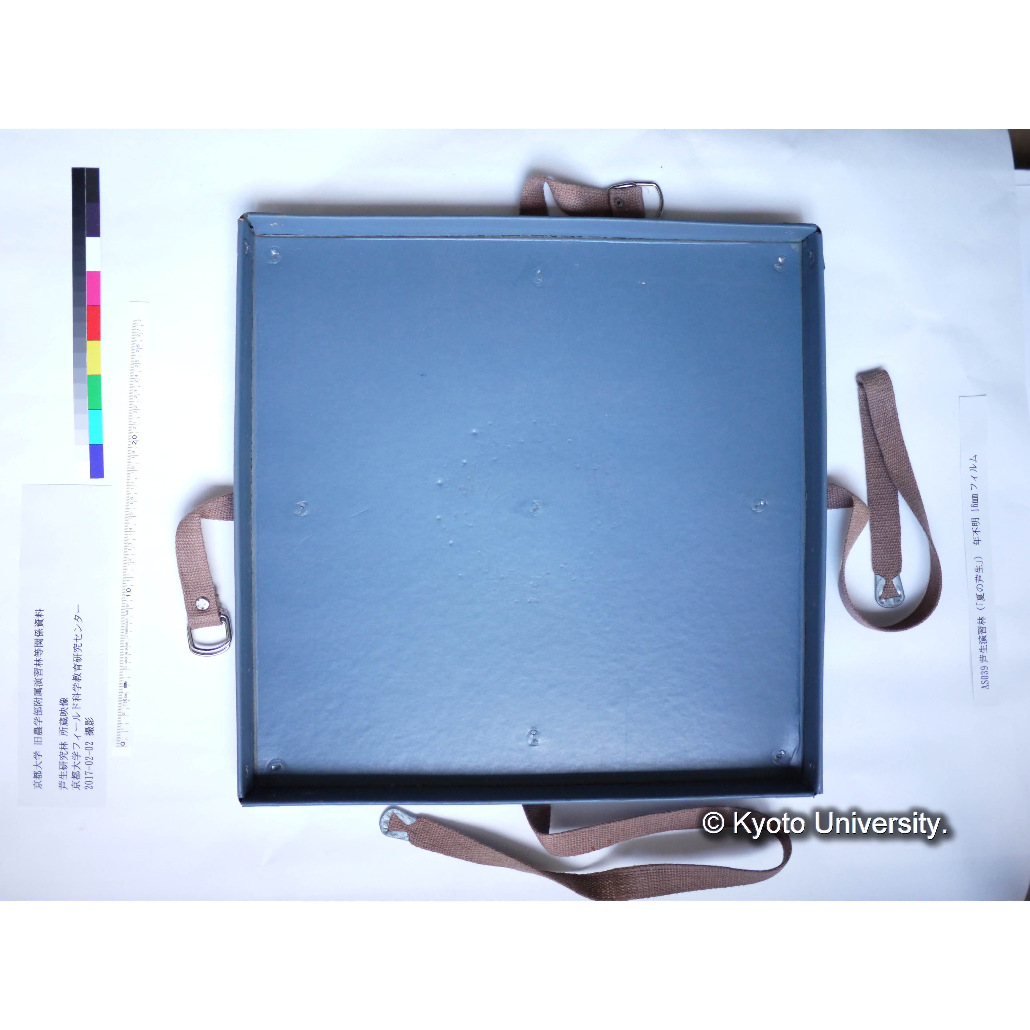 〔夏の芦生〕 (8)