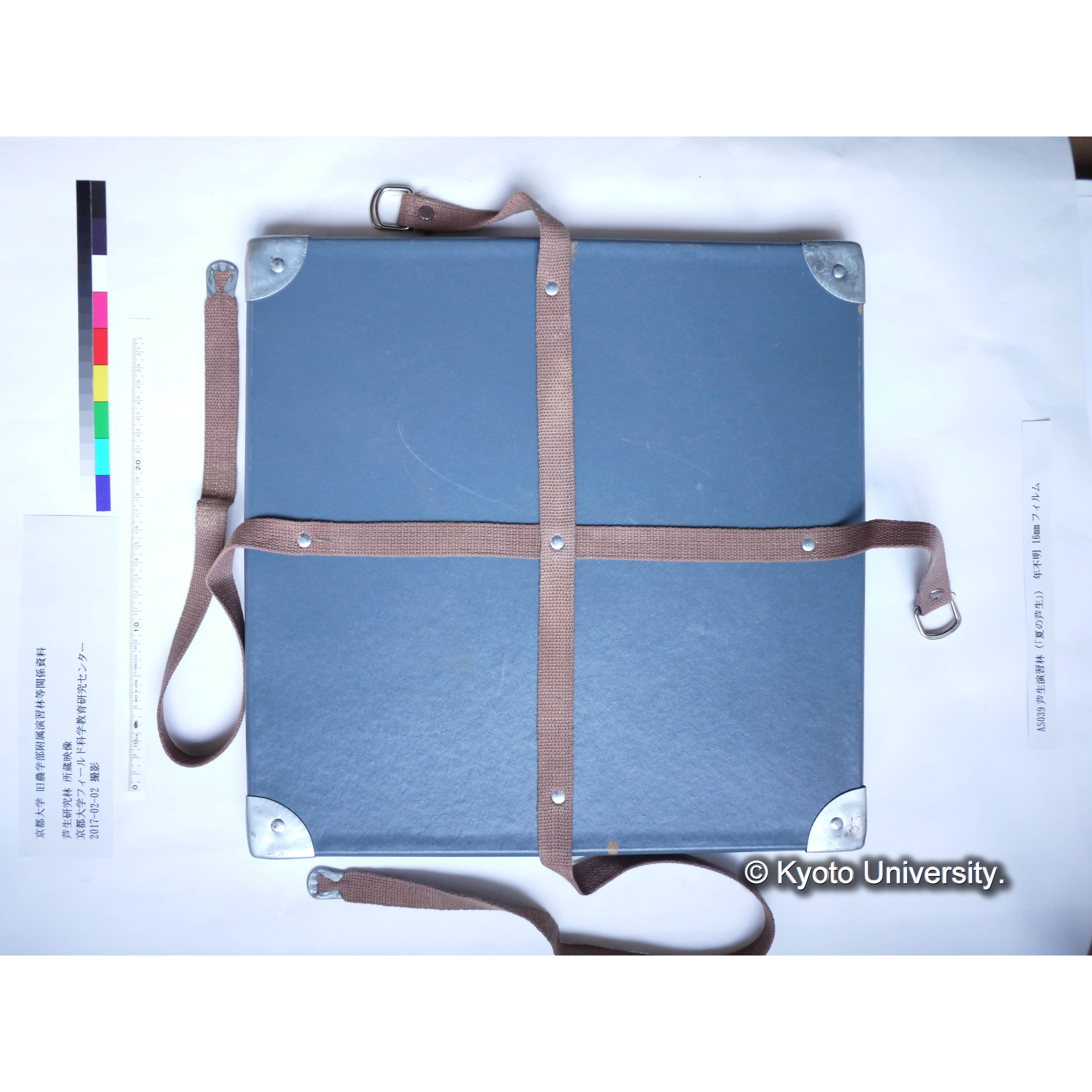 〔夏の芦生〕 (9)