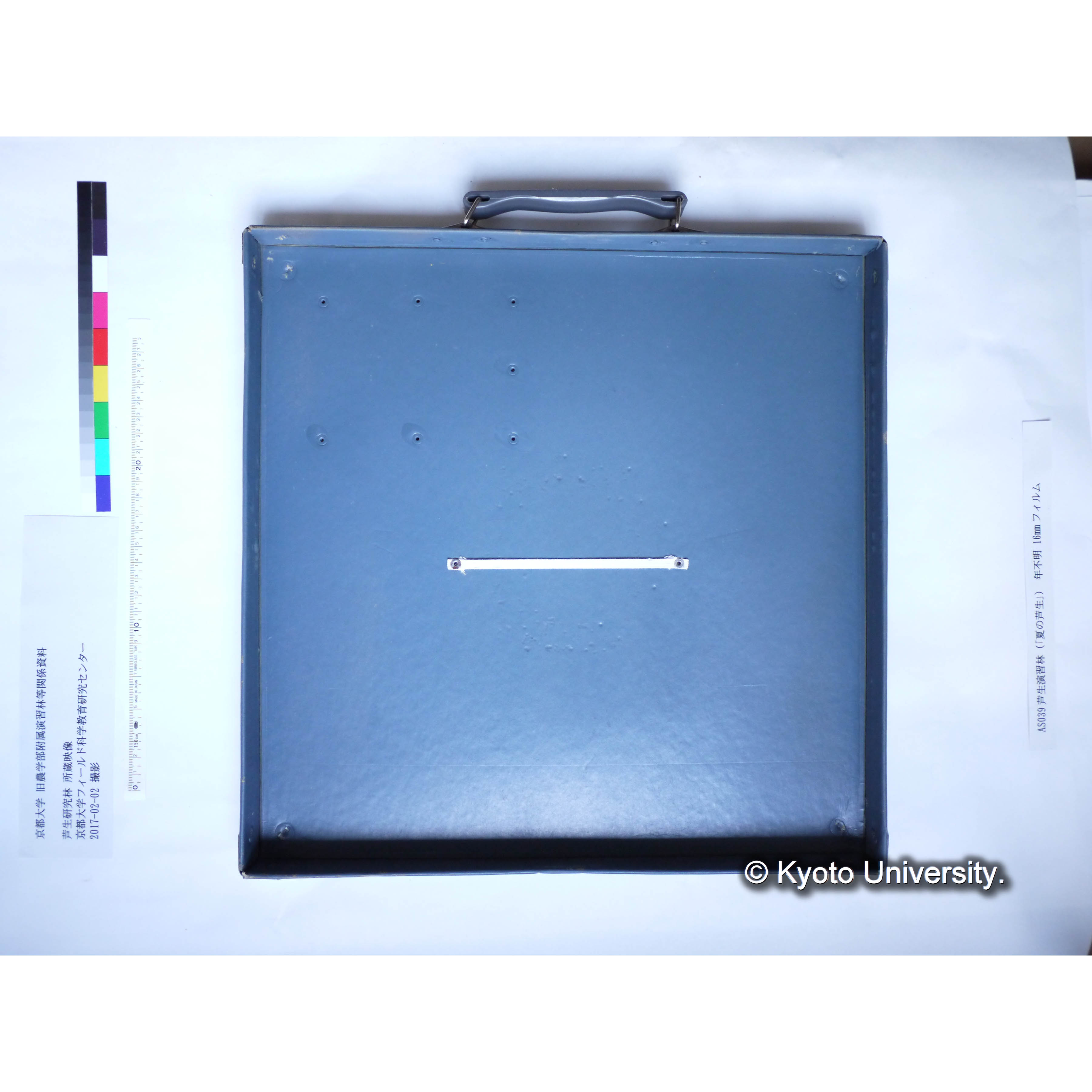 〔夏の芦生〕 (10)