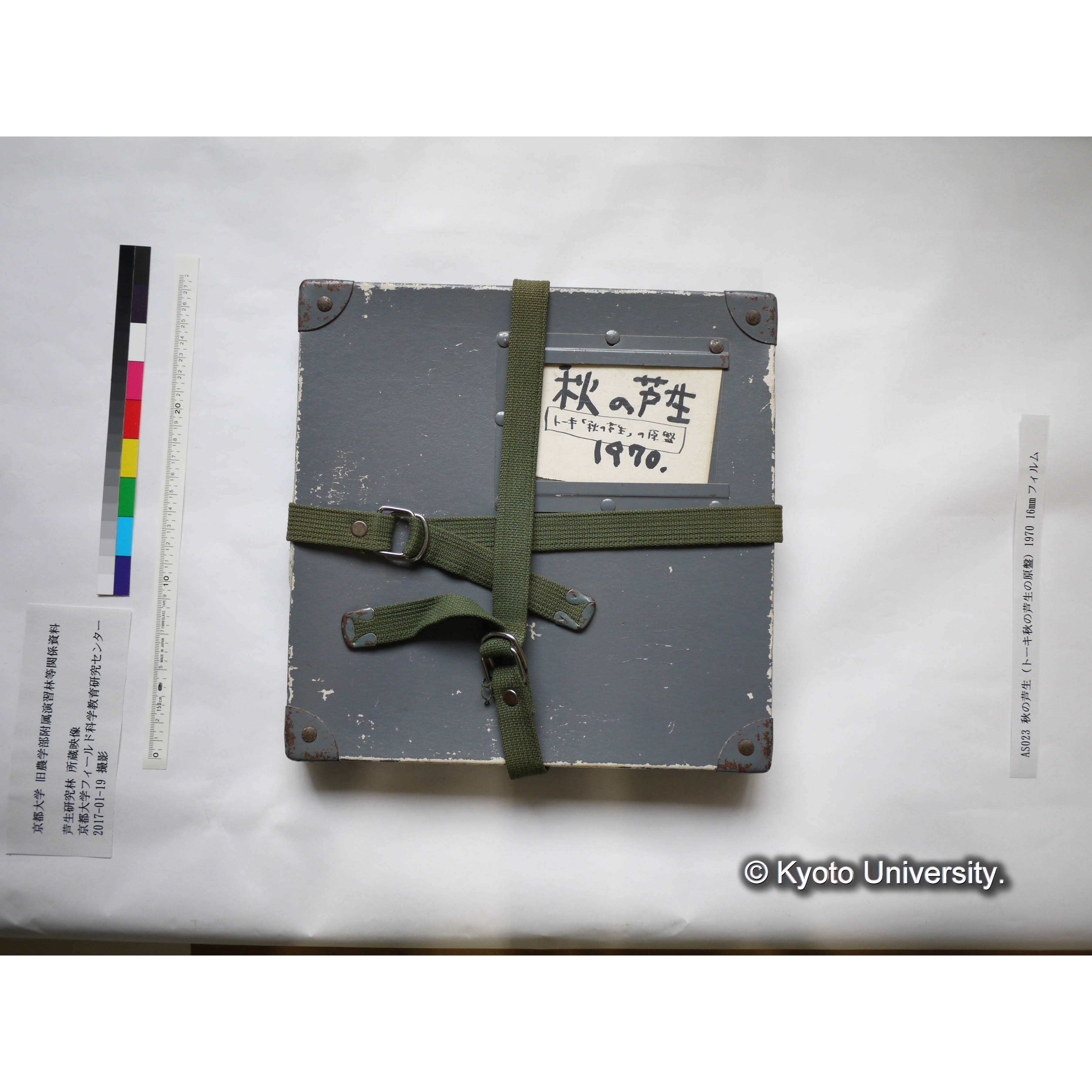 秋の芦生 1970 (1)