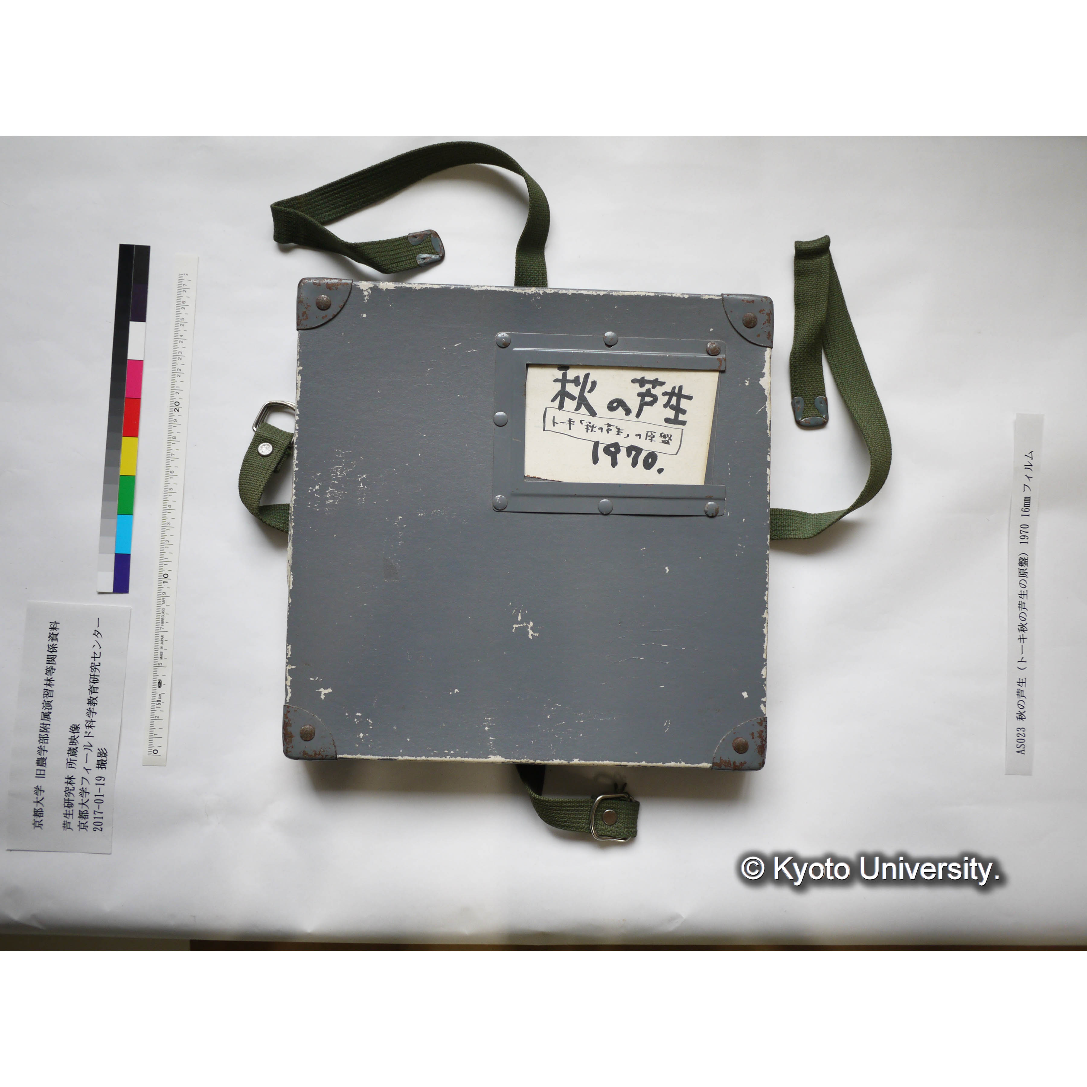 秋の芦生 1970 (2)