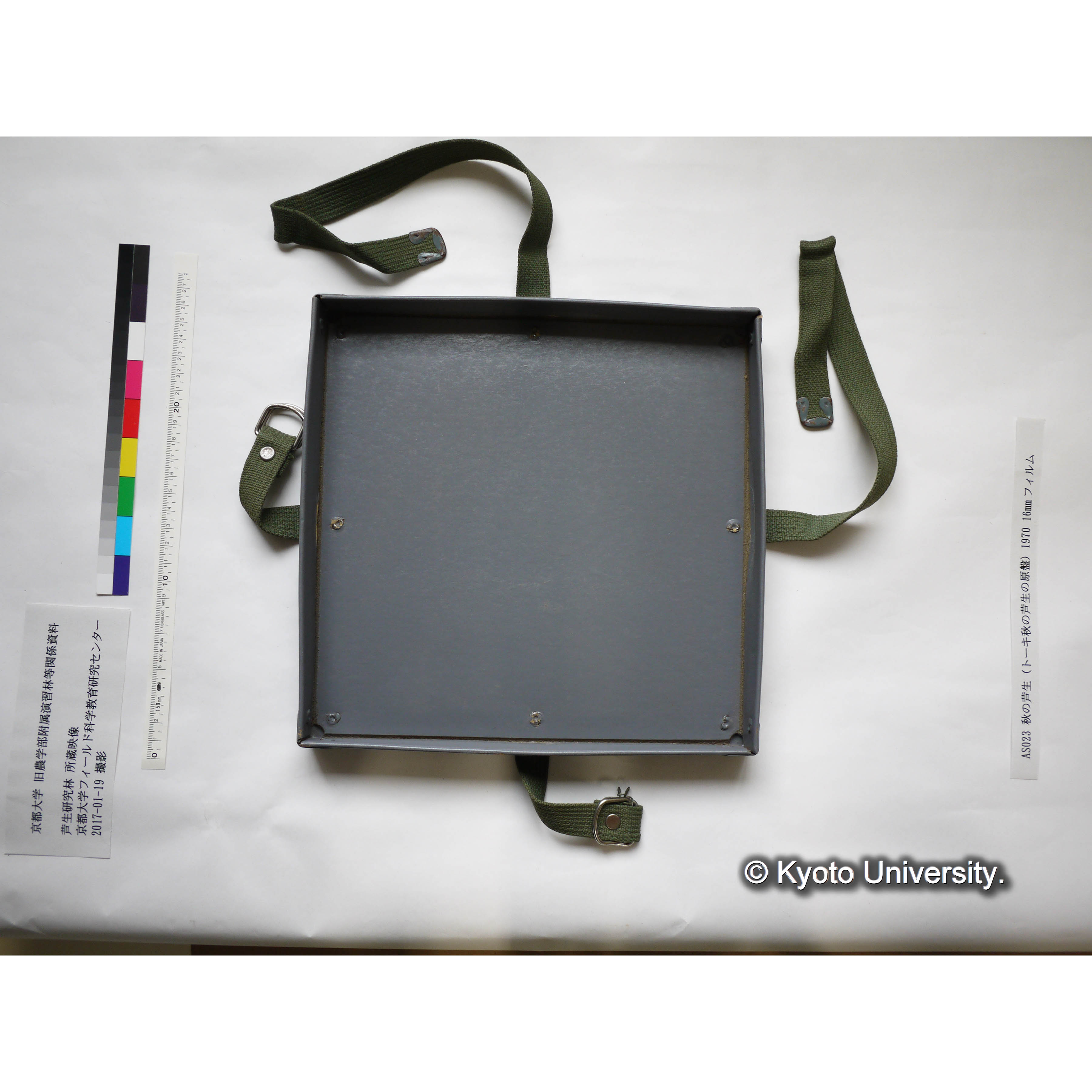 秋の芦生 1970 (3)