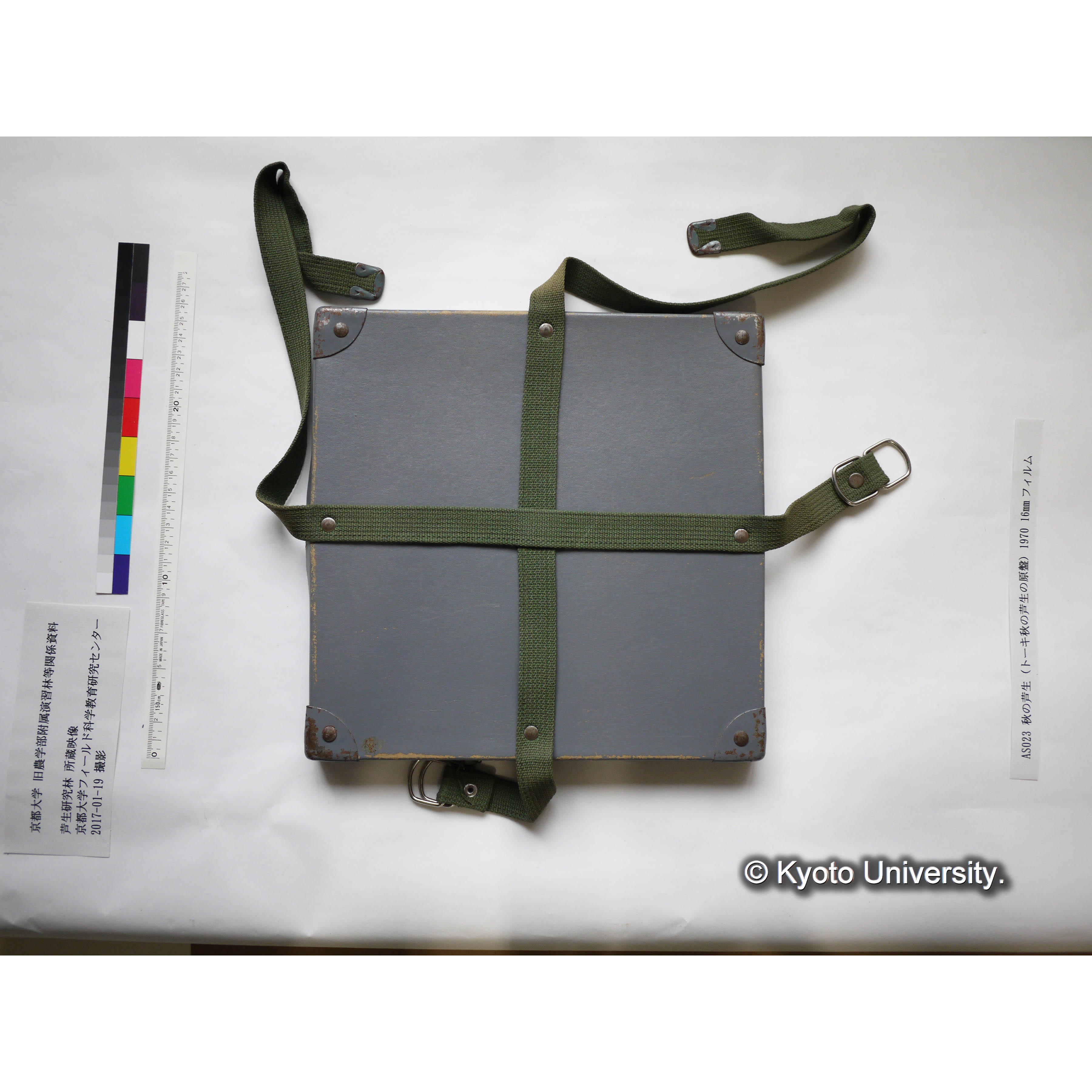 秋の芦生 1970 (4)