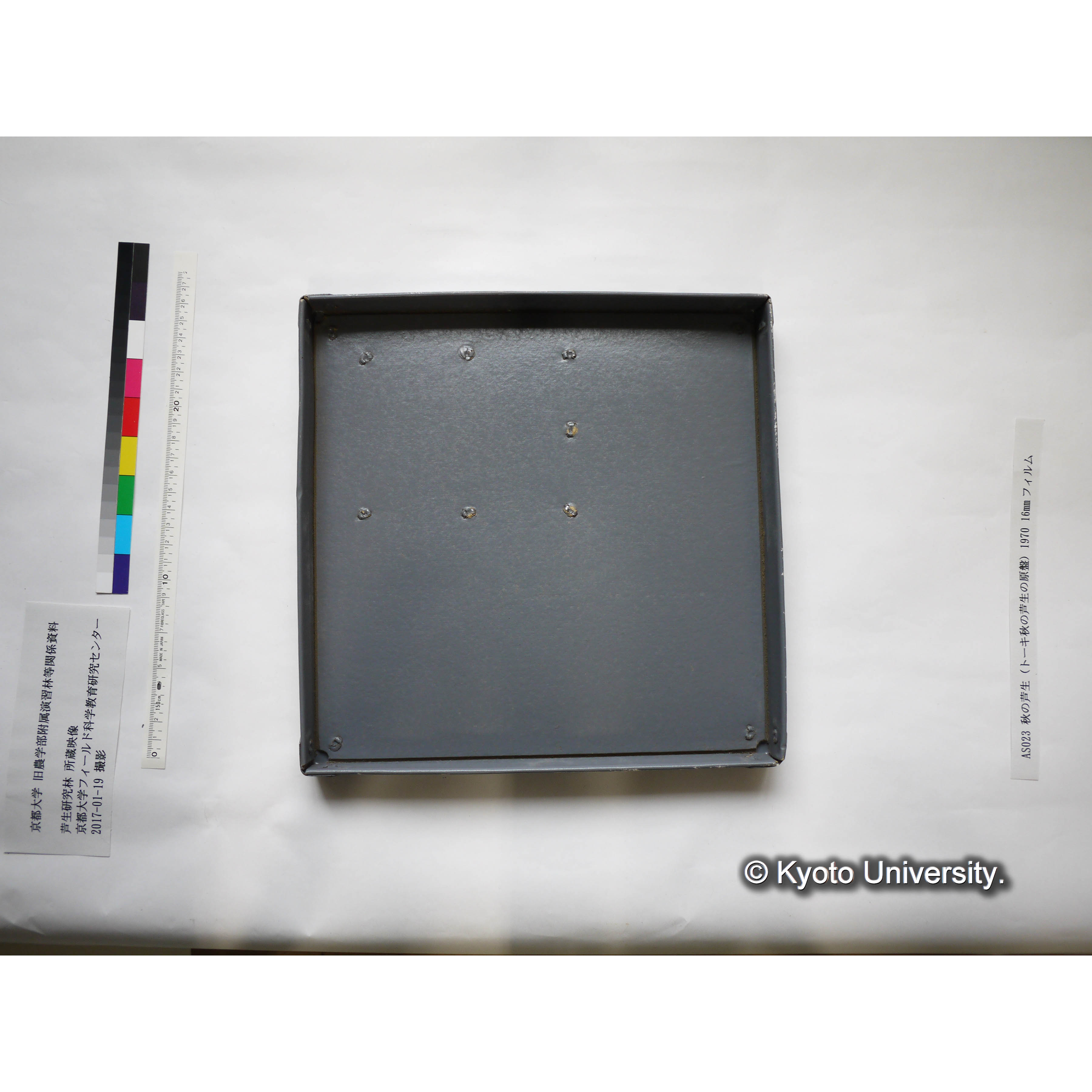 秋の芦生 1970 (5)