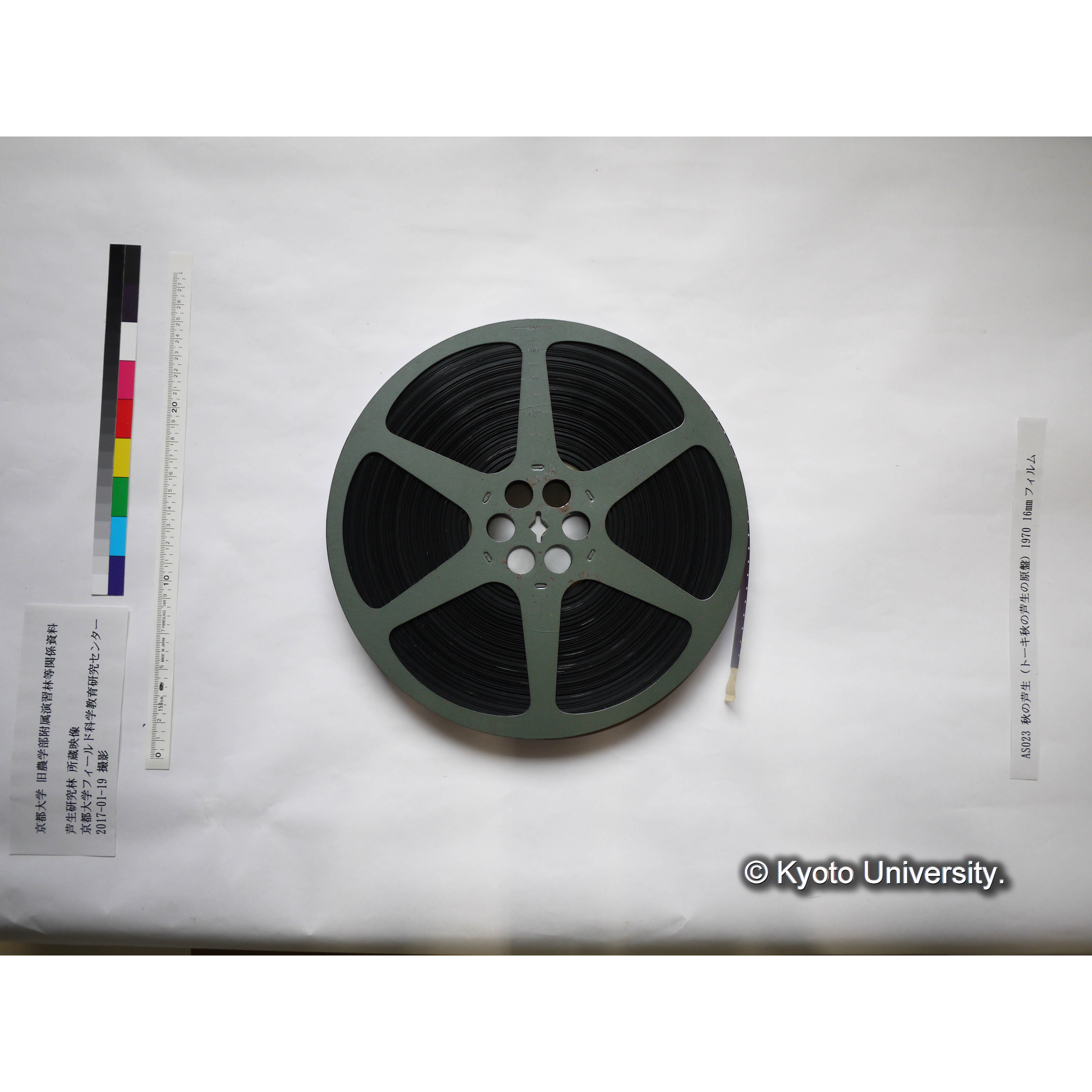 秋の芦生 1970 (6)