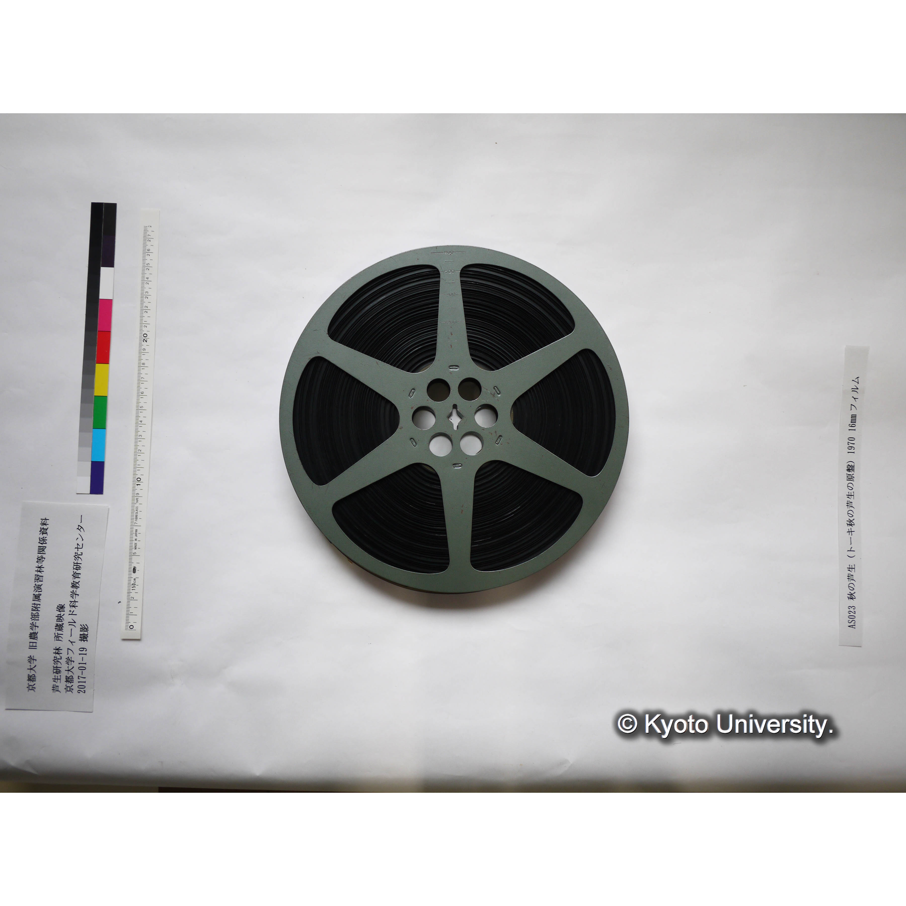 秋の芦生 1970 (7)