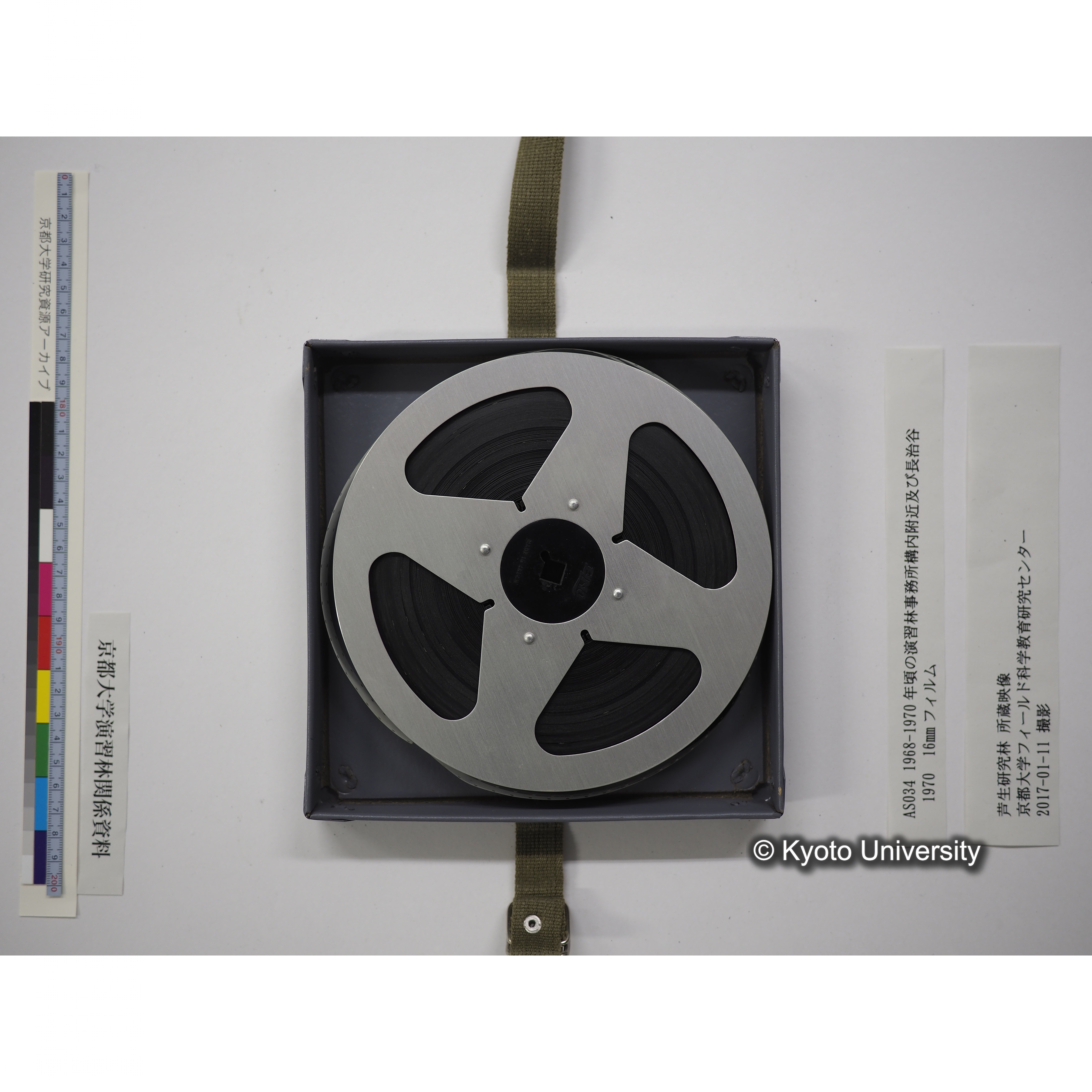 演習林事務所構内附近及び長治谷 1968-1970年頃 (15)