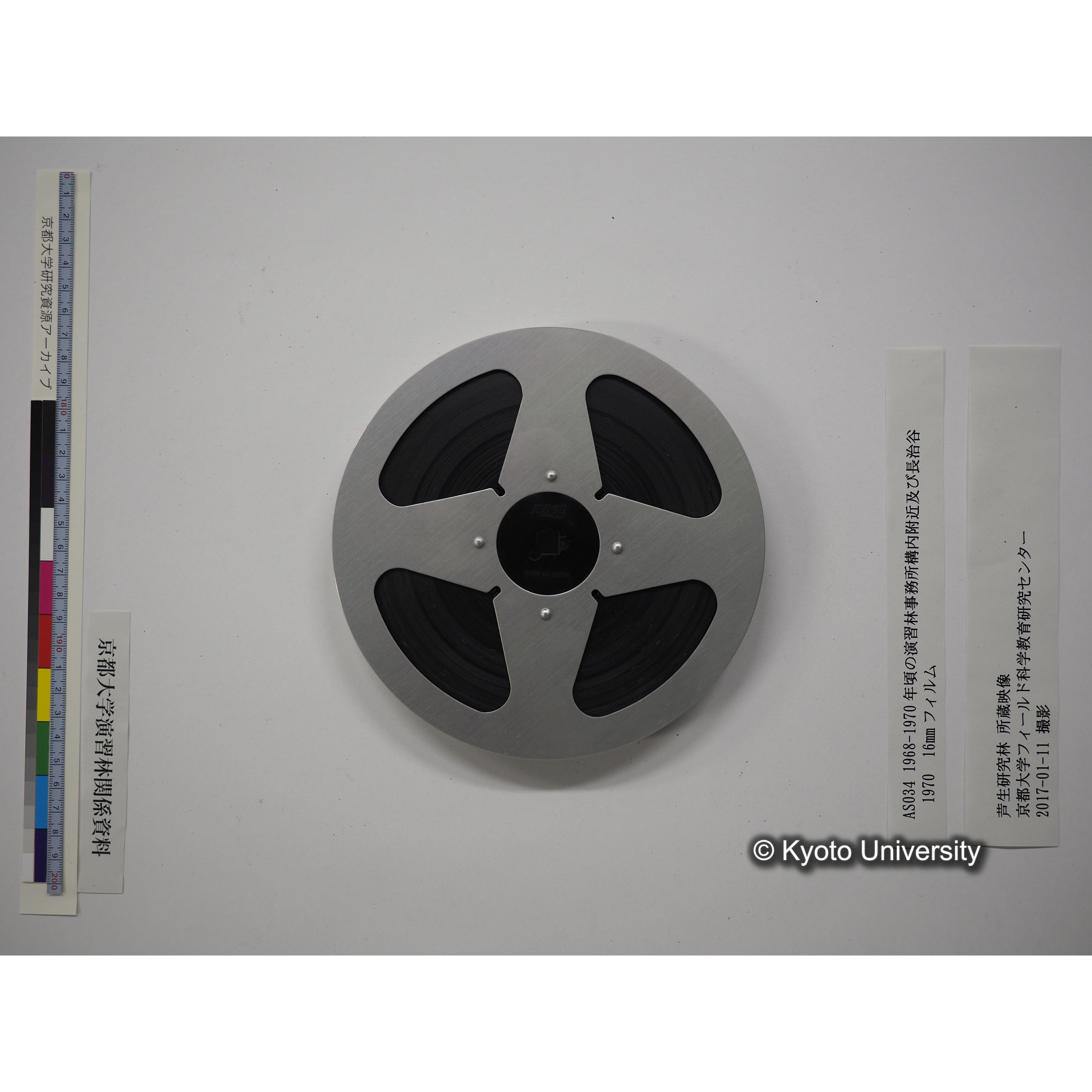 演習林事務所構内附近及び長治谷 1968-1970年頃 (17)