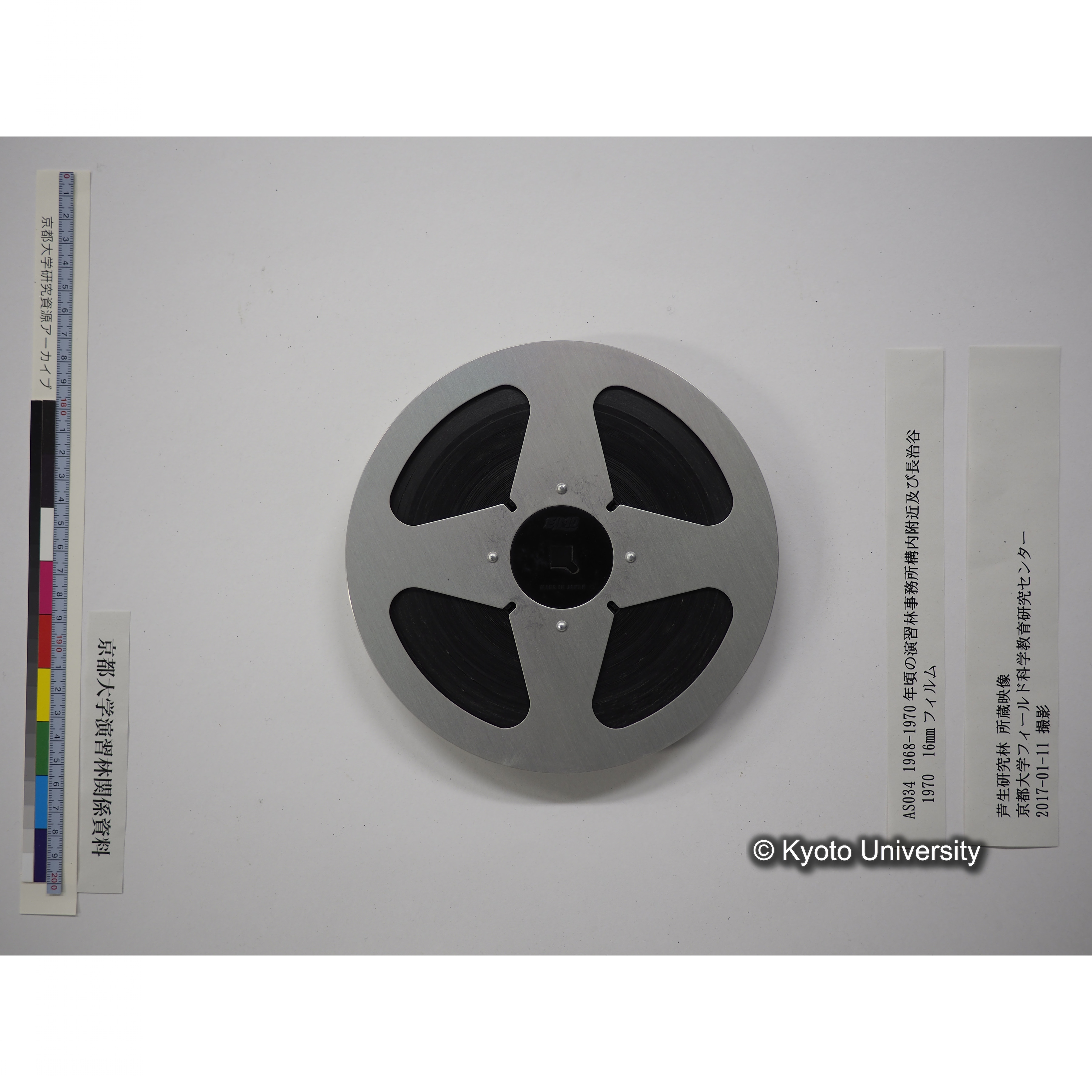 演習林事務所構内附近及び長治谷 1968-1970年頃 (18)