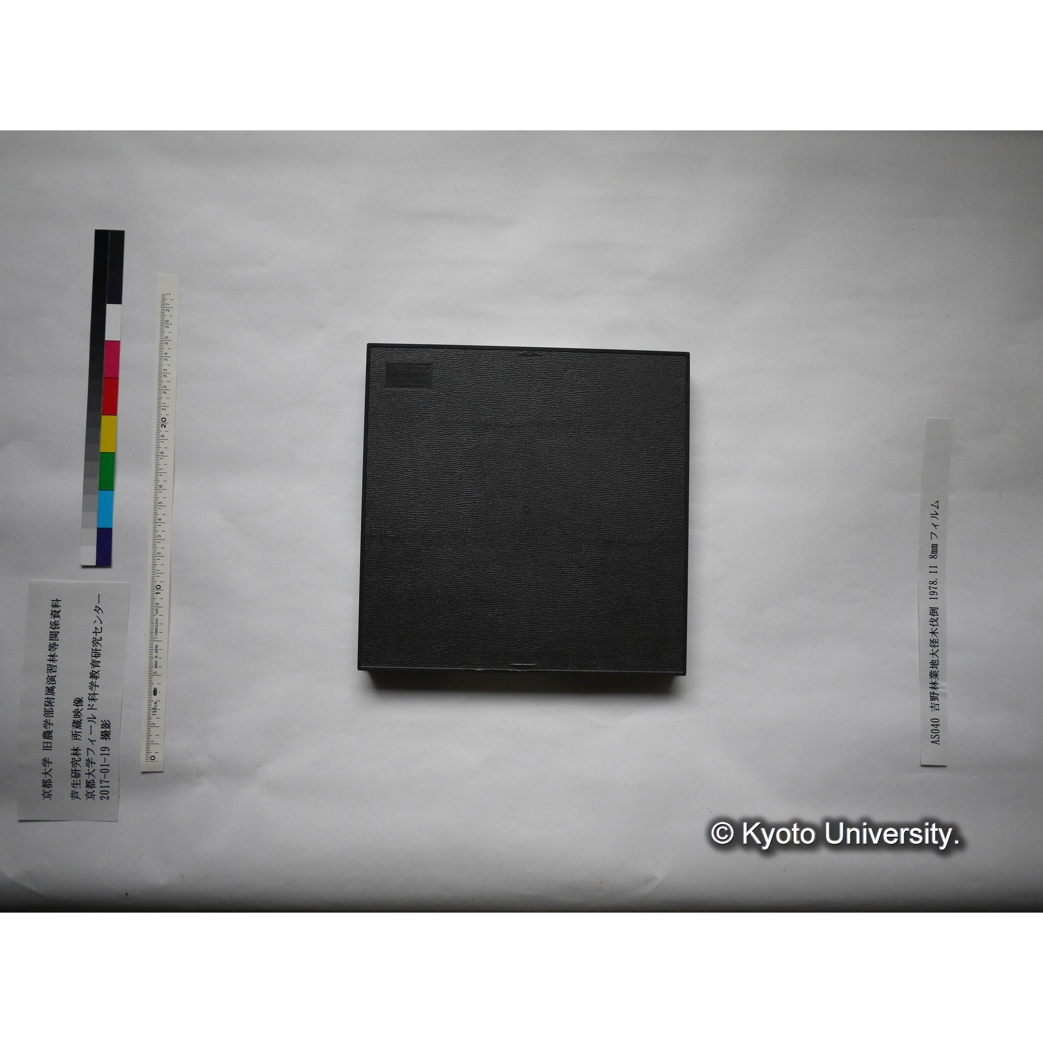 吉野林業地大径木伐倒 1978.11 (1)