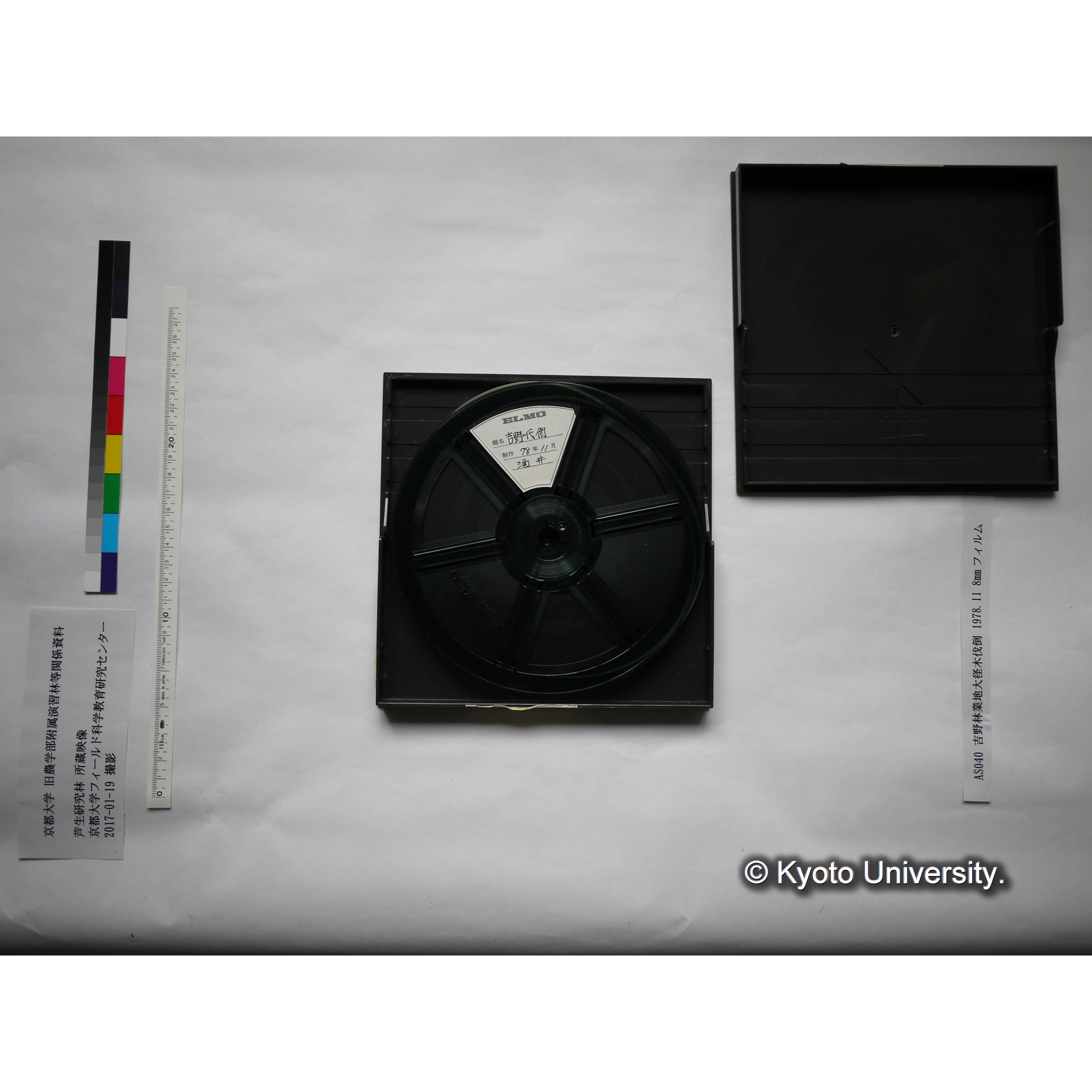 吉野林業地大径木伐倒 1978.11 (2)