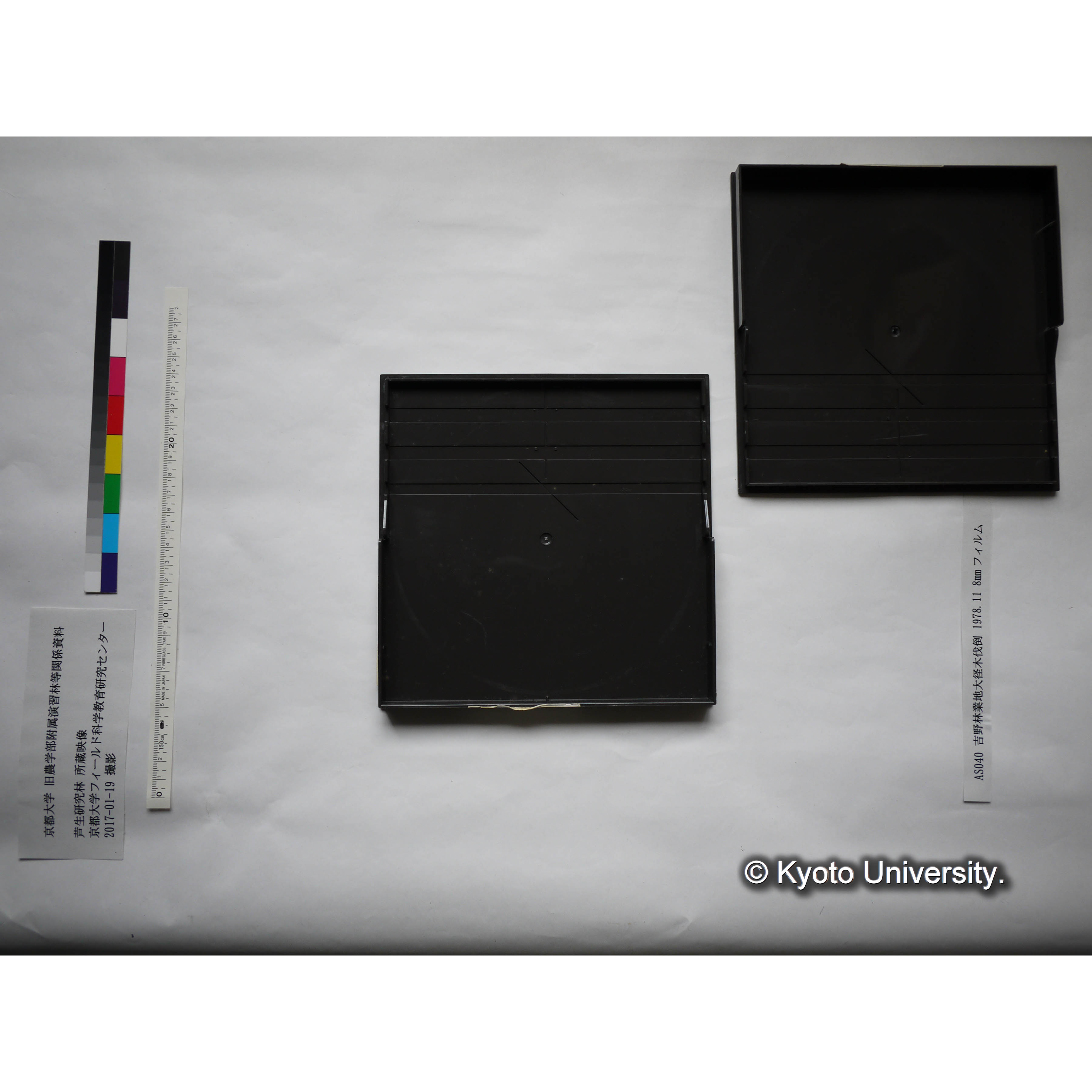 吉野林業地大径木伐倒 1978.11 (3)