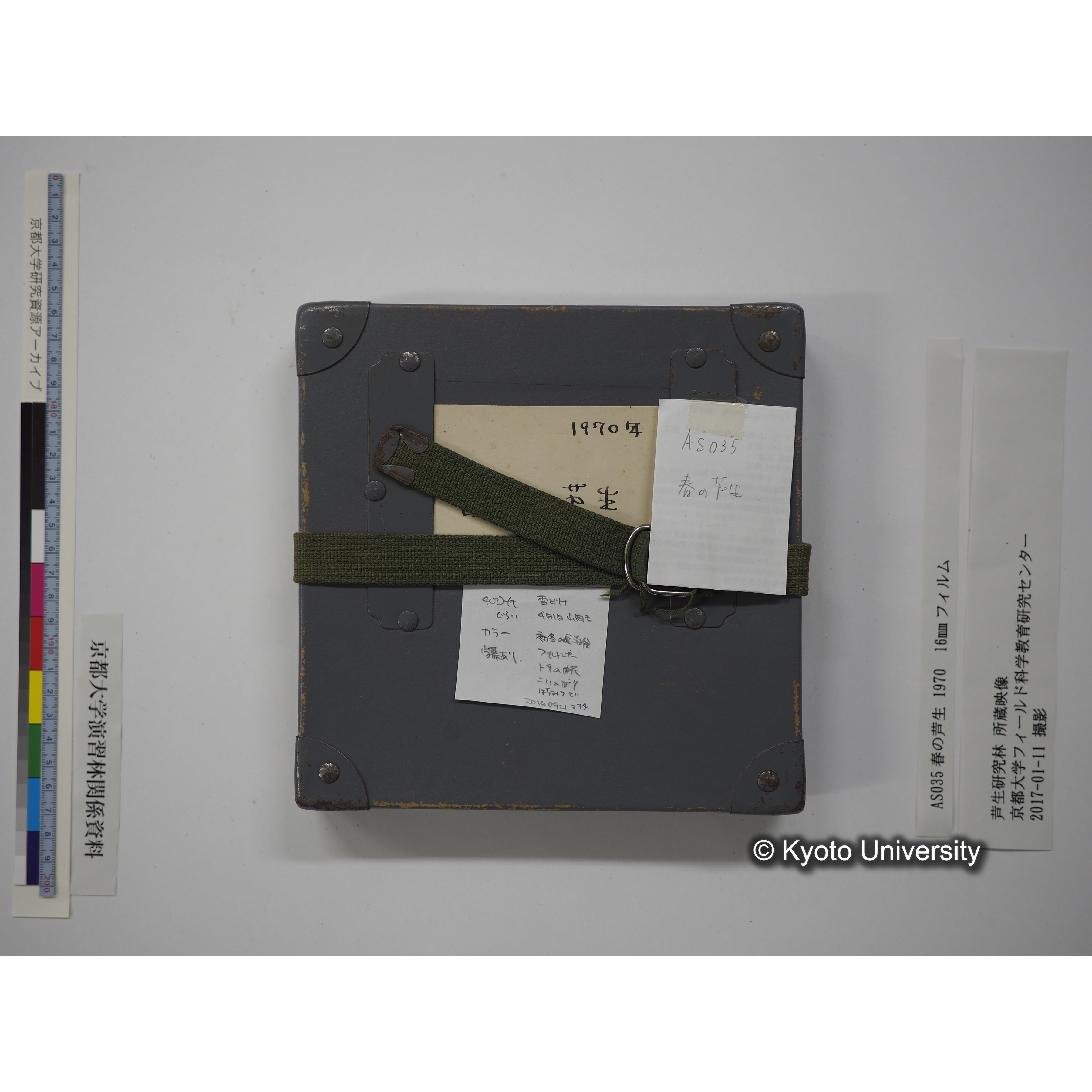 春の芦生 1970 (13)